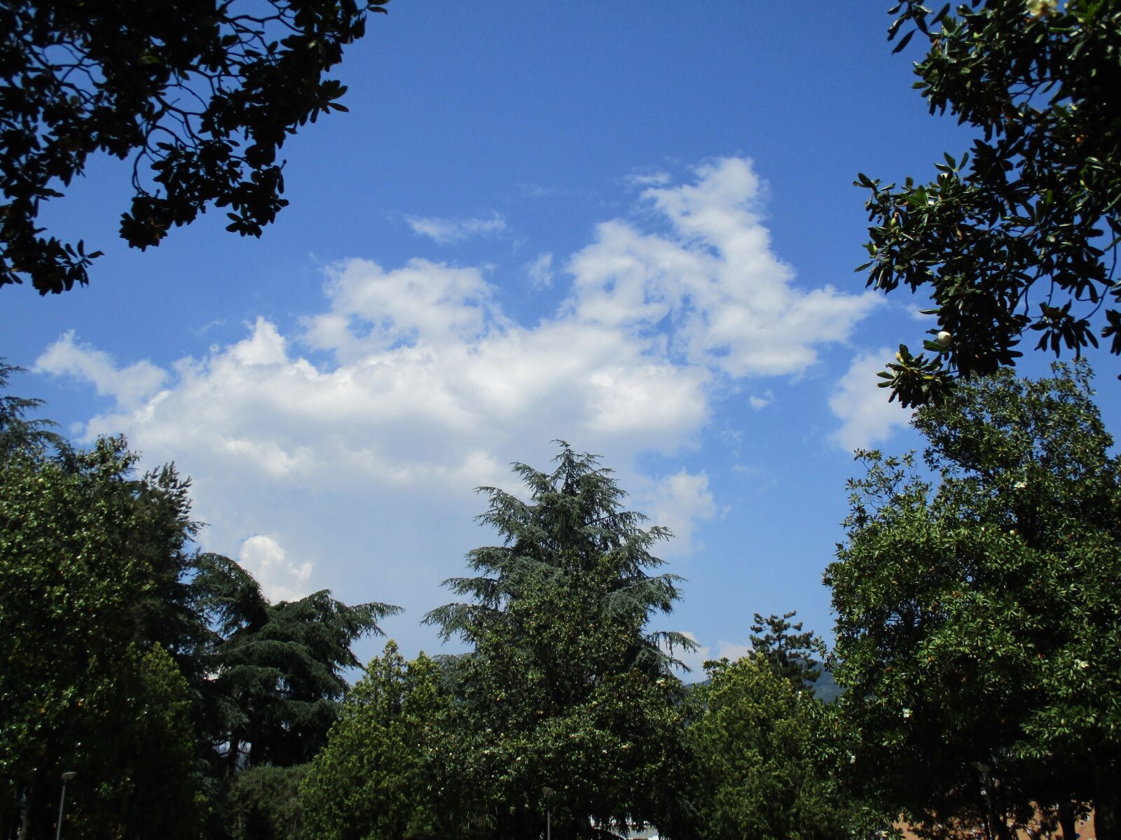 Canon IXUS 185 sample photo. Sky, clouds, blue photography