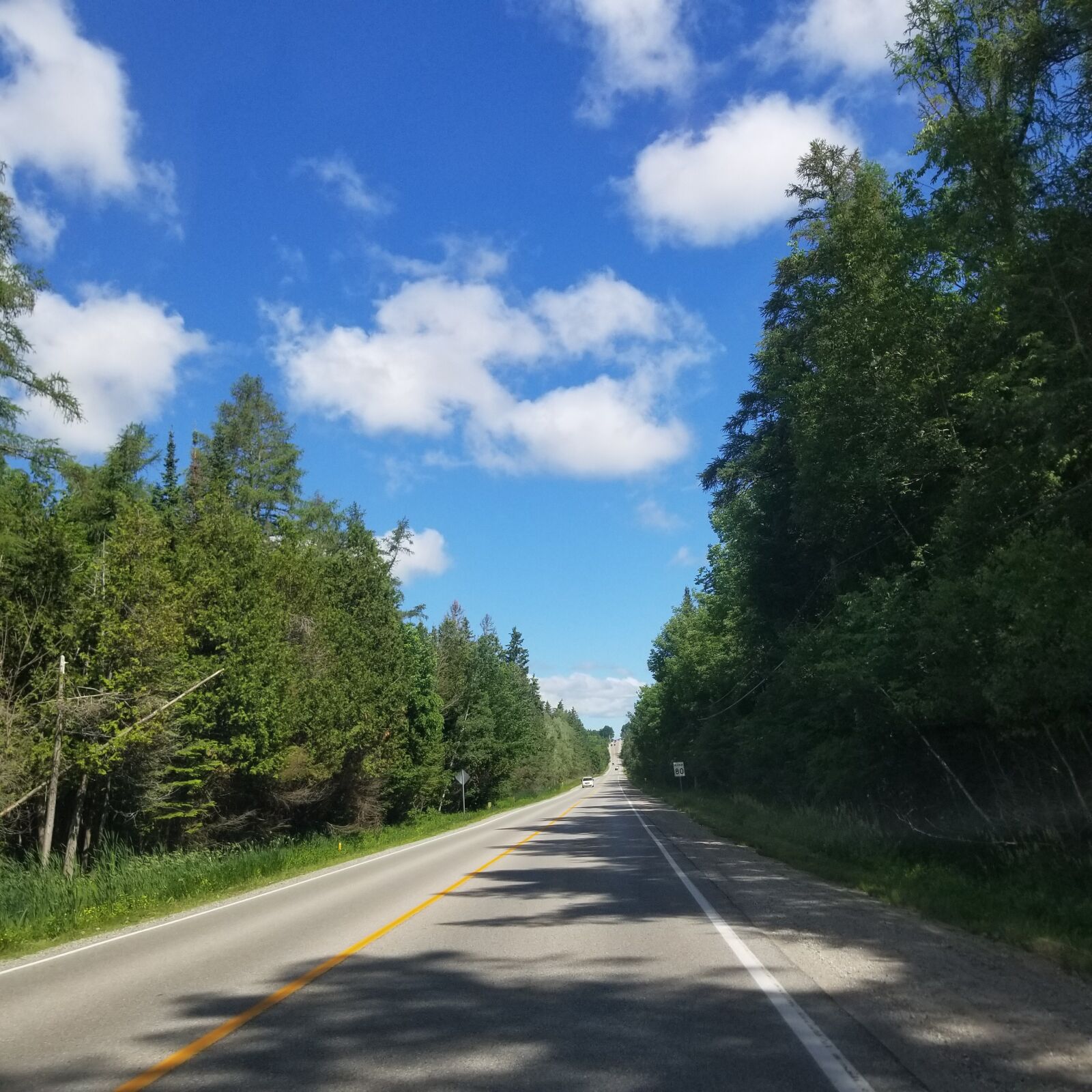 Samsung Galaxy S8 sample photo. Road, nature, trees photography