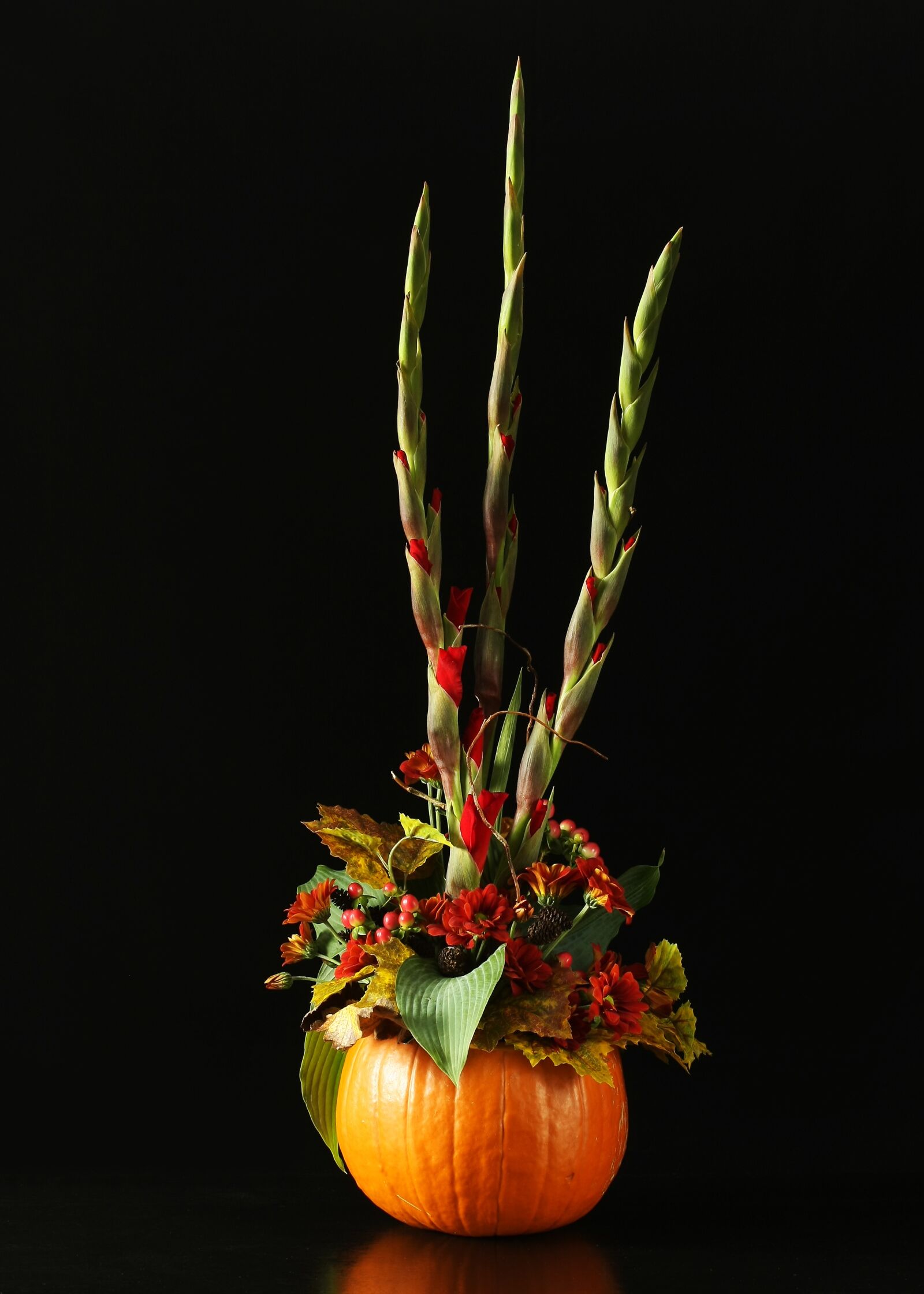 Canon EOS 40D sample photo. Autumn, flowers, arrangement photography