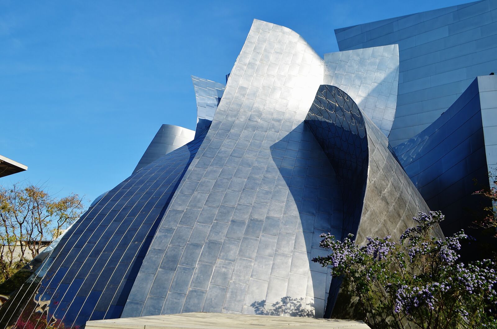 Nikon D5100 sample photo. Disney, concert hall, los photography