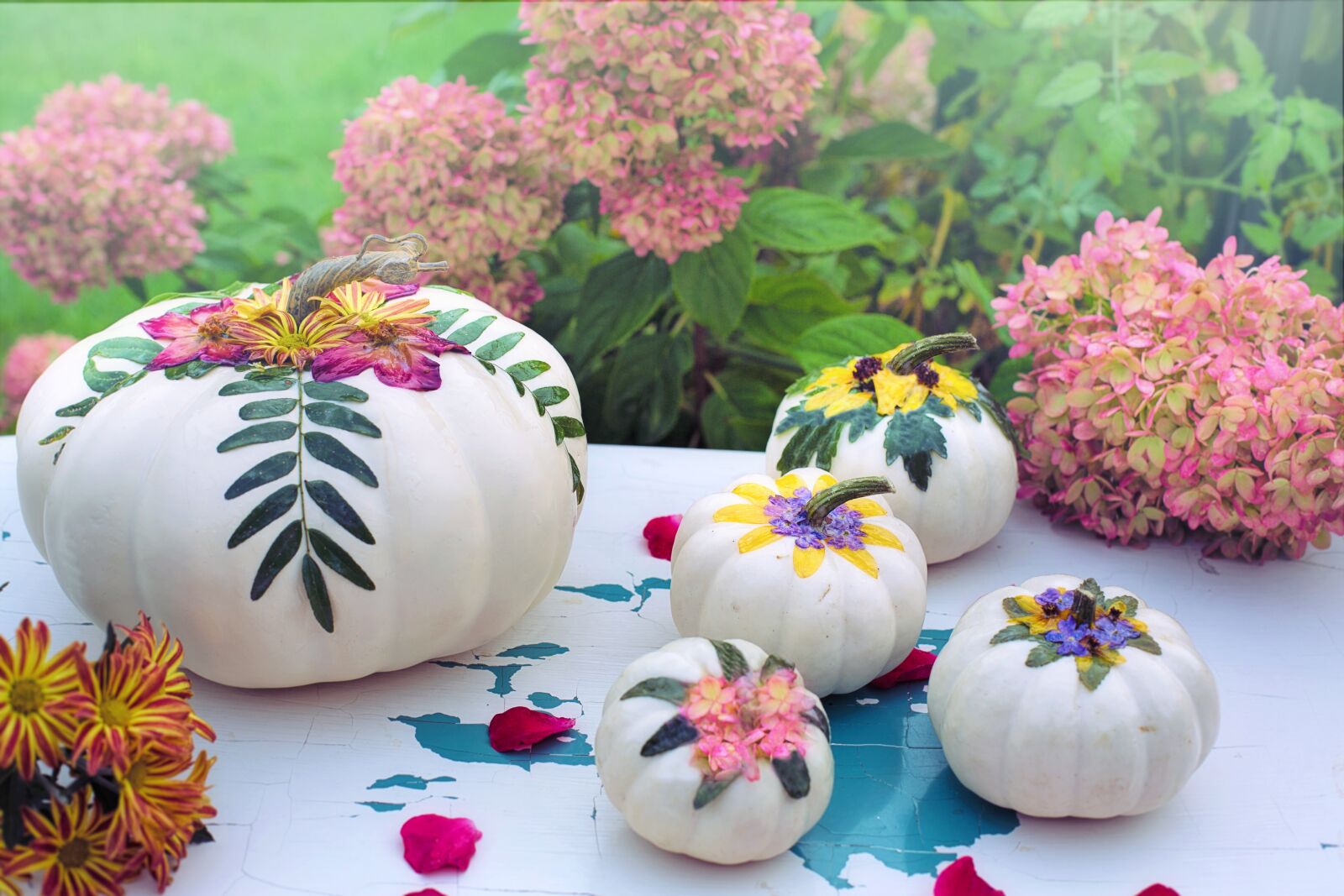 Canon EF 50mm F1.4 USM sample photo. Fall, autumn, pumpkins photography