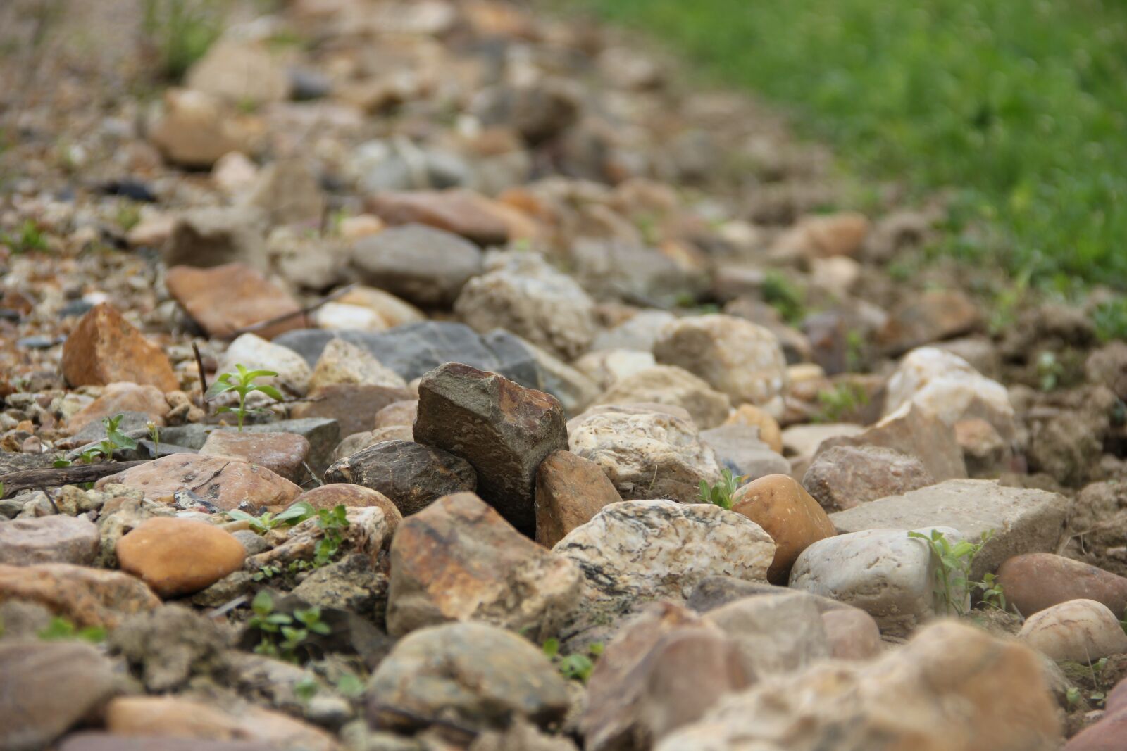 Canon EOS 550D (EOS Rebel T2i / EOS Kiss X4) sample photo. Path, pierre, nature photography