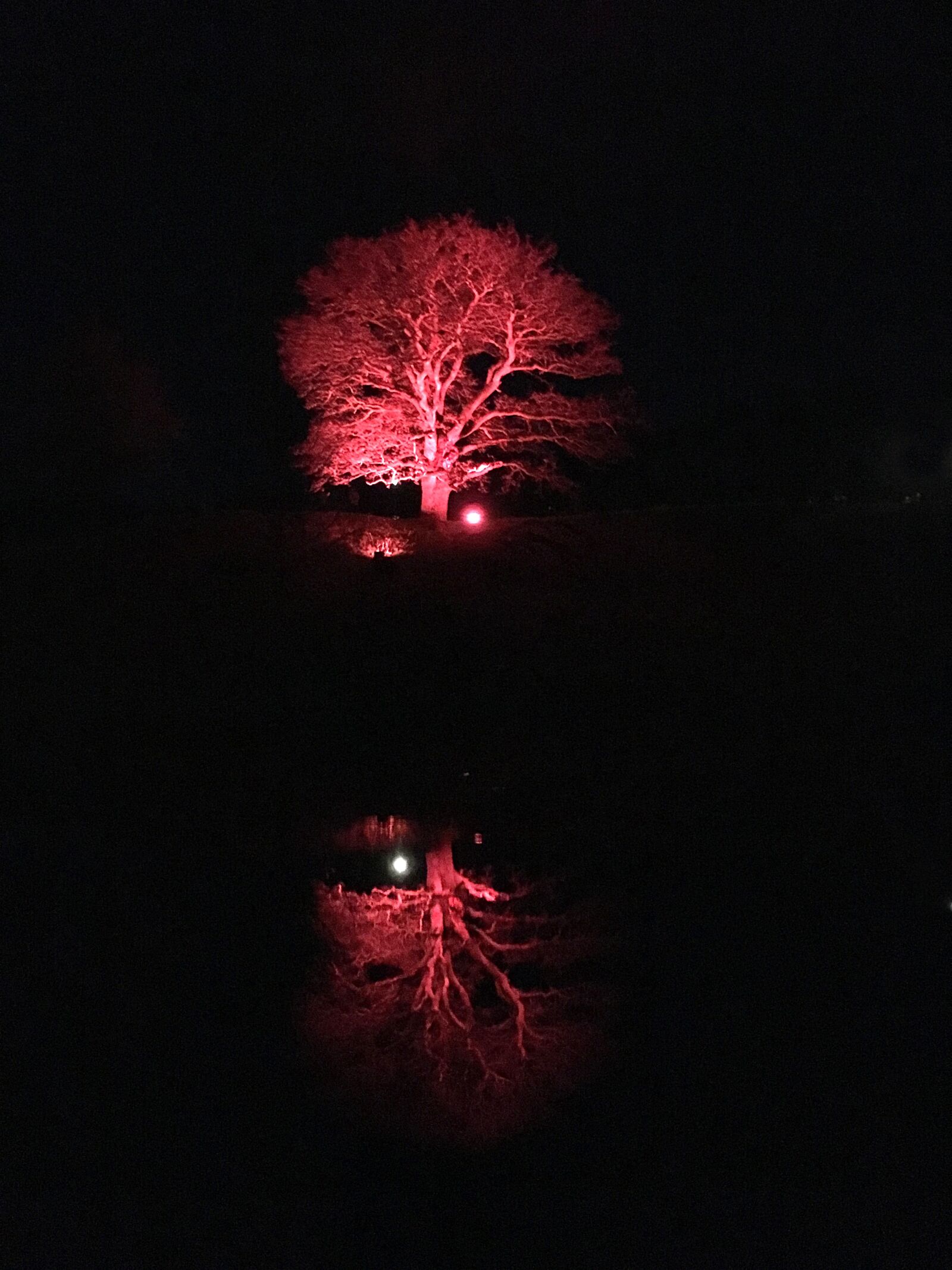 Apple iPhone 6s sample photo. Tree, trollh ttan, old photography