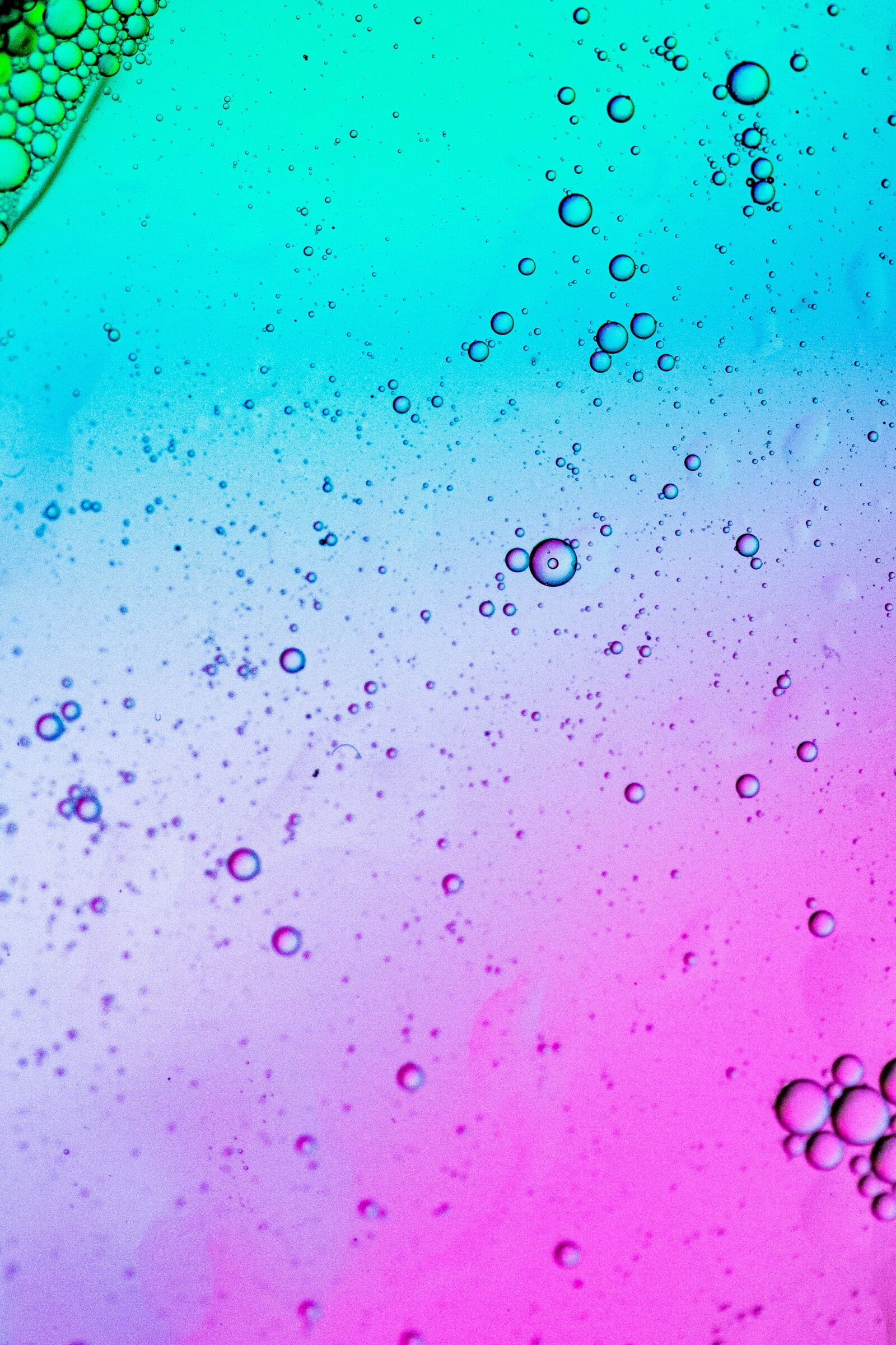 Canon EF 100mm F2.8 Macro USM sample photo. Water bubbles, bubbles, underwater photography