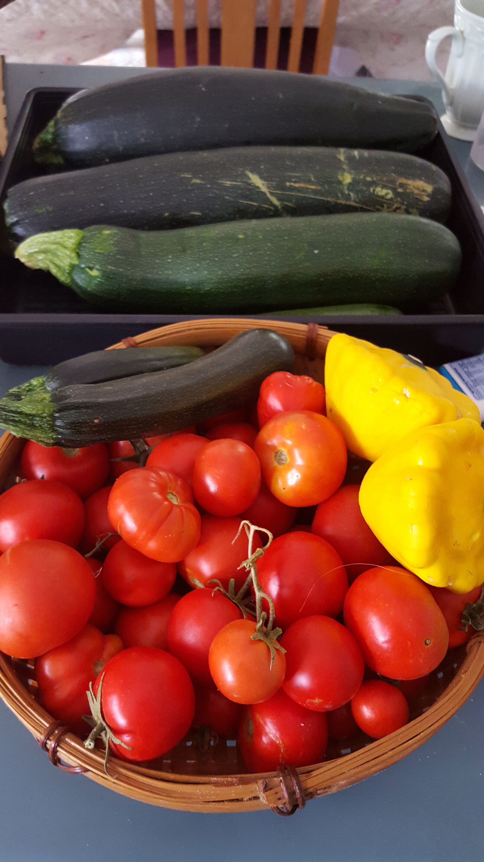 Samsung Galaxy S6 sample photo. Backyard, cucumber, tomatoes photography
