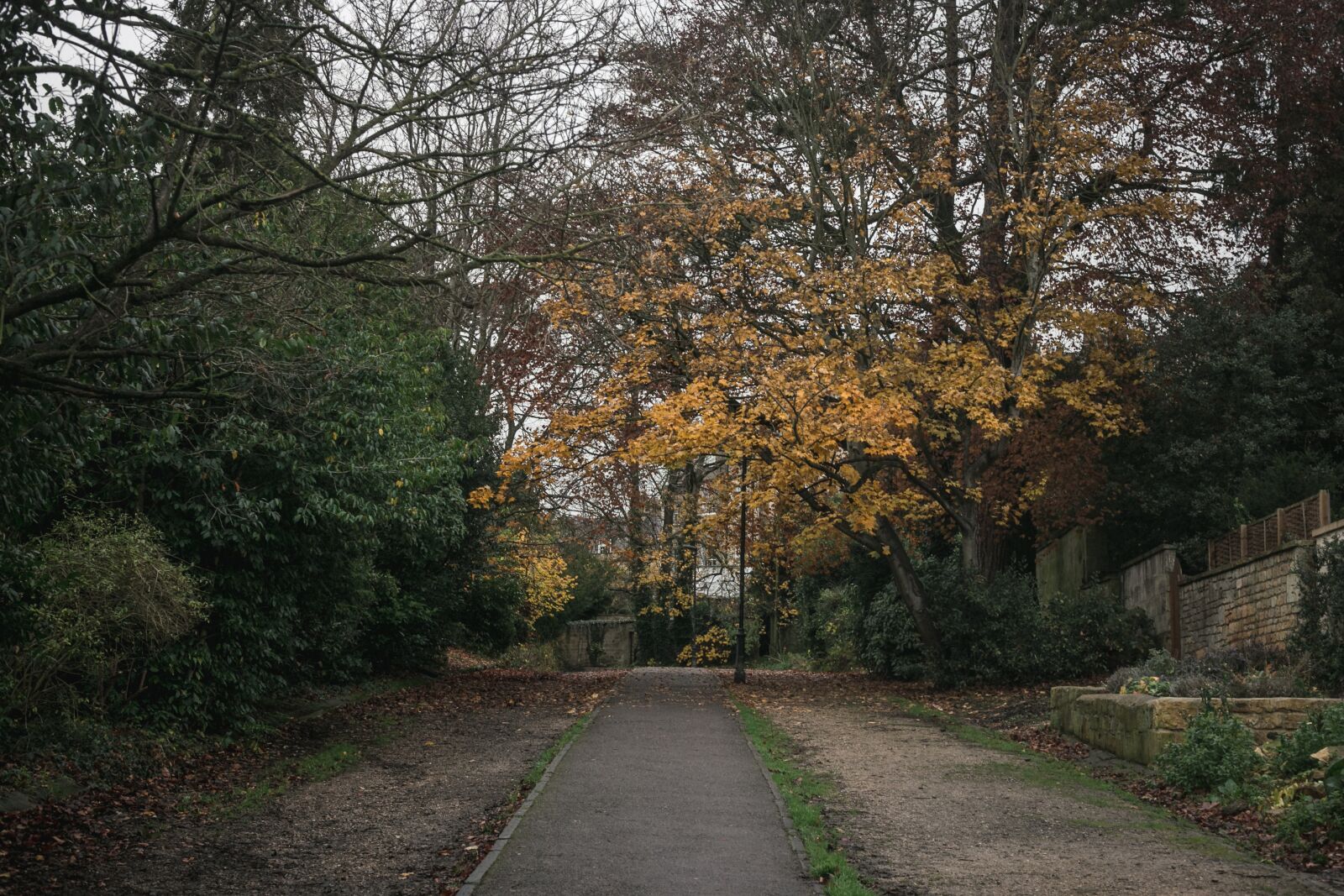 Canon EF 50mm F1.8 II sample photo. Walkway, path, way photography