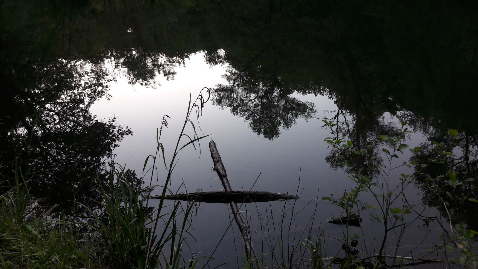 Samsung Galaxy A5(2016) sample photo. Lake, mirror, water photography