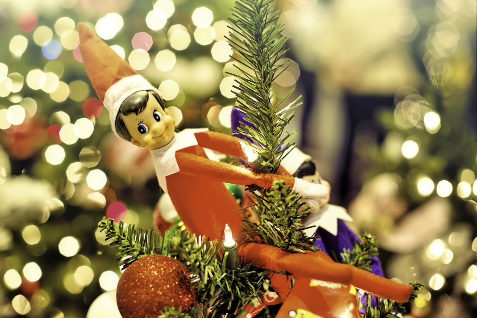 Canon EF 50mm F1.4 USM sample photo. Elf, elf on a photography