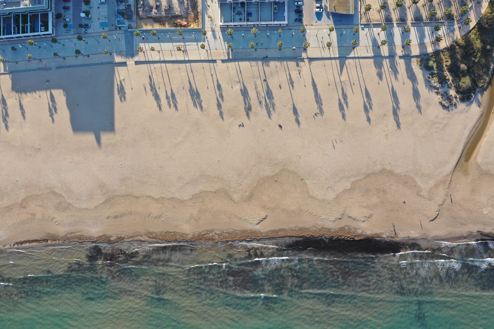 Hasselblad L1D-20c sample photo. Beach, palms, sand photography