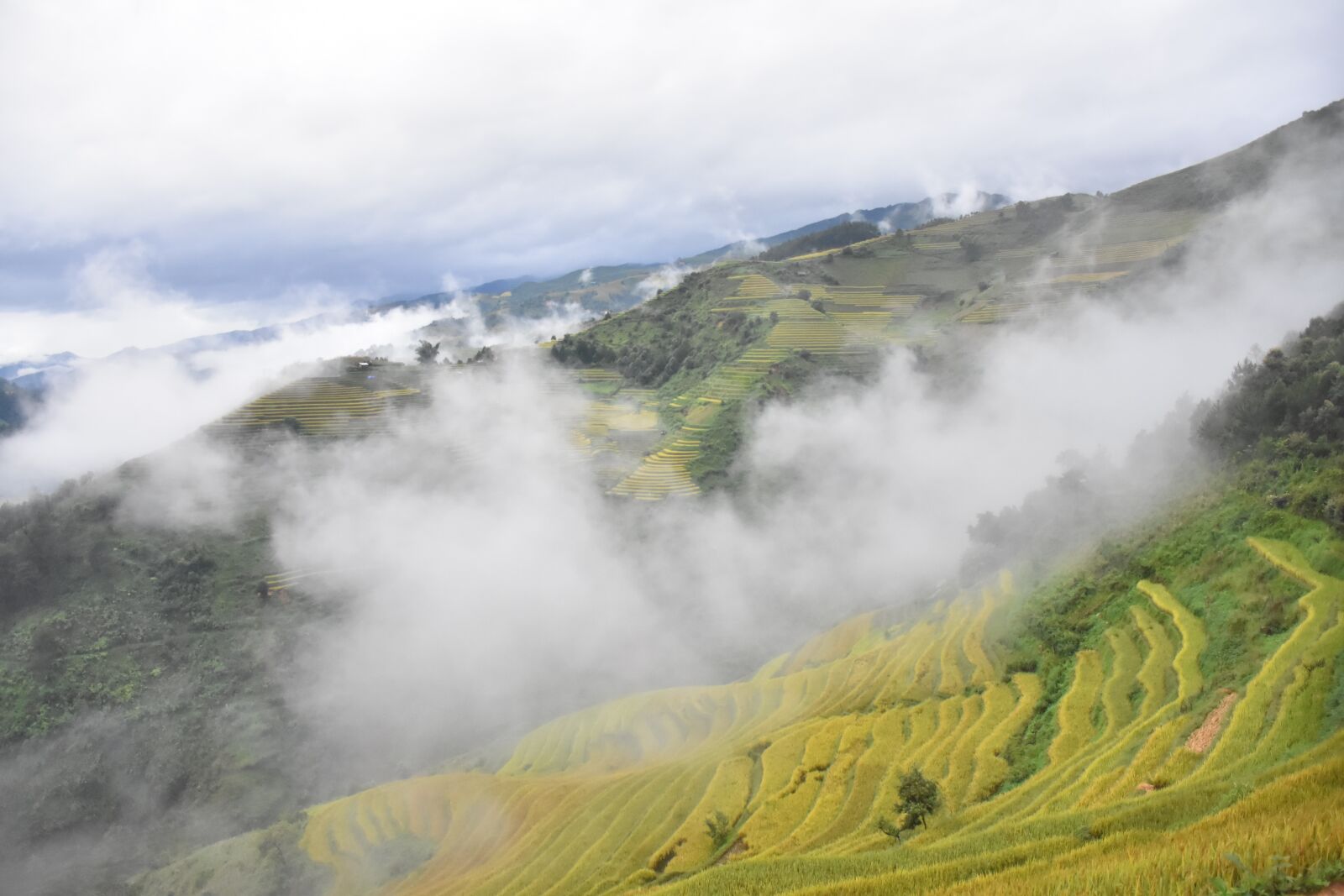 Nikon D7200 sample photo. Mountains, field, valley photography