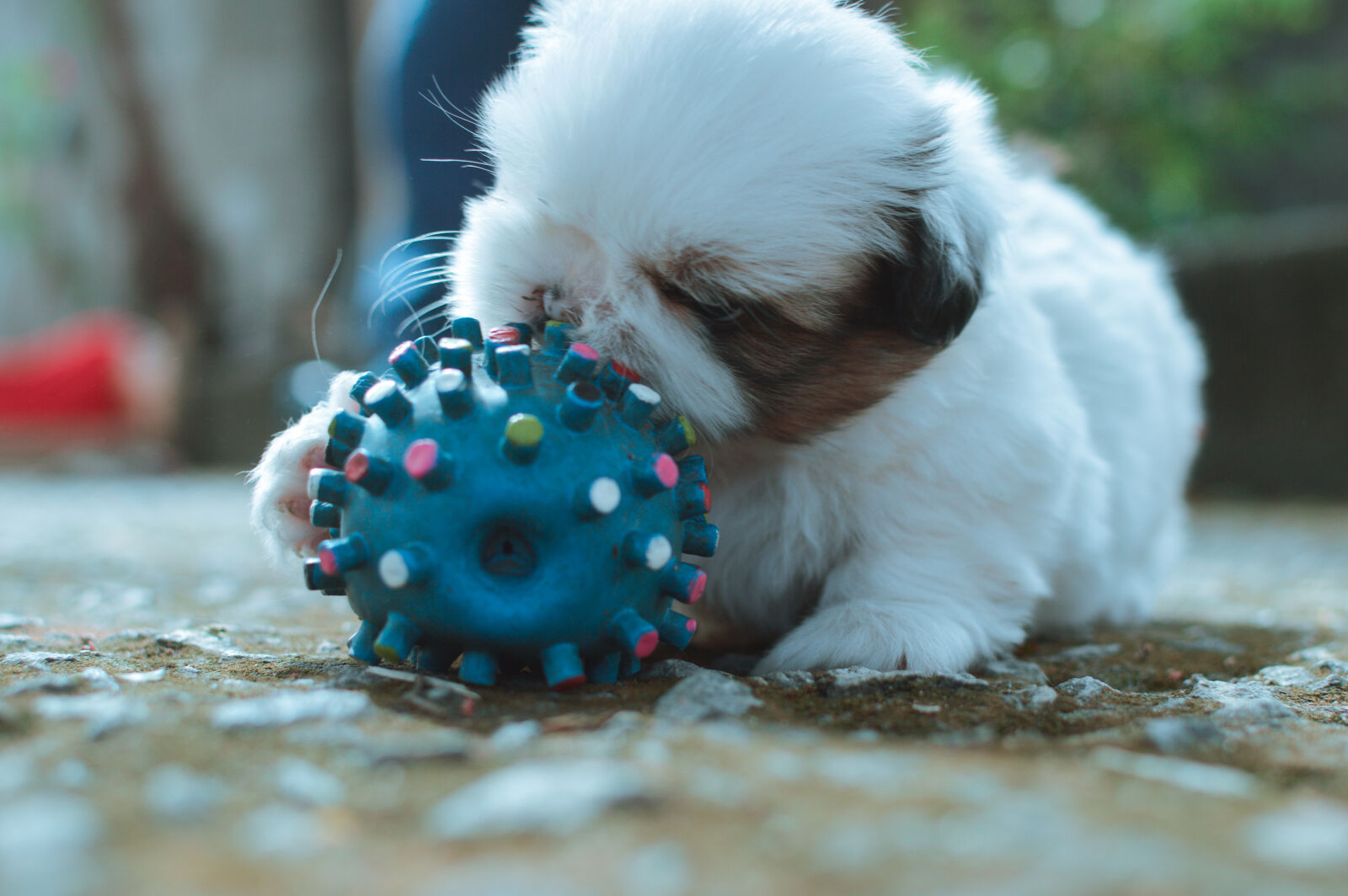 Nikon D3200 + Nikon AF-S DX Nikkor 35mm F1.8G sample photo. Ball, bokeh, close, up photography