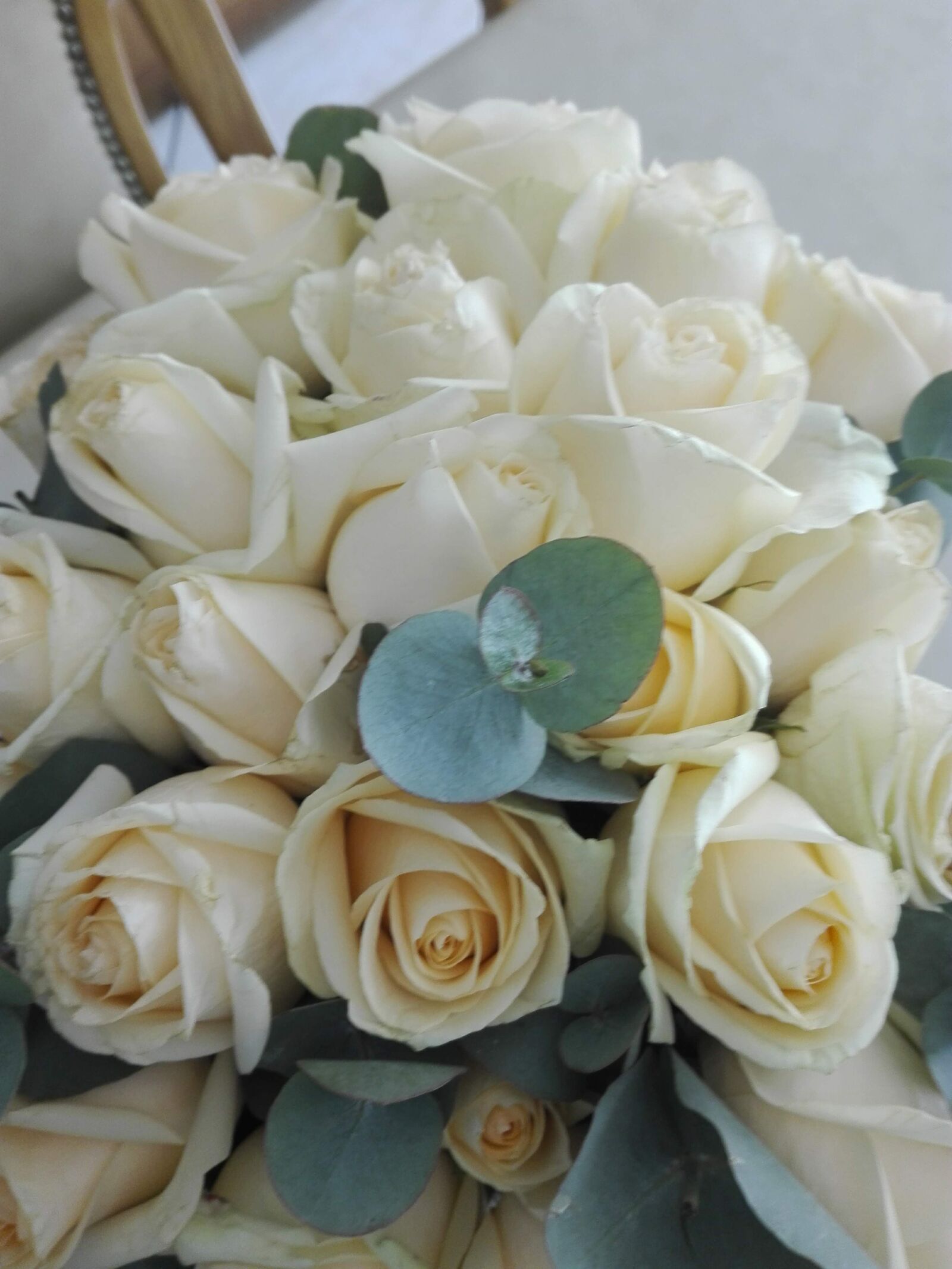 HUAWEI ALE-L21 sample photo. Roses, flowers, bloom photography