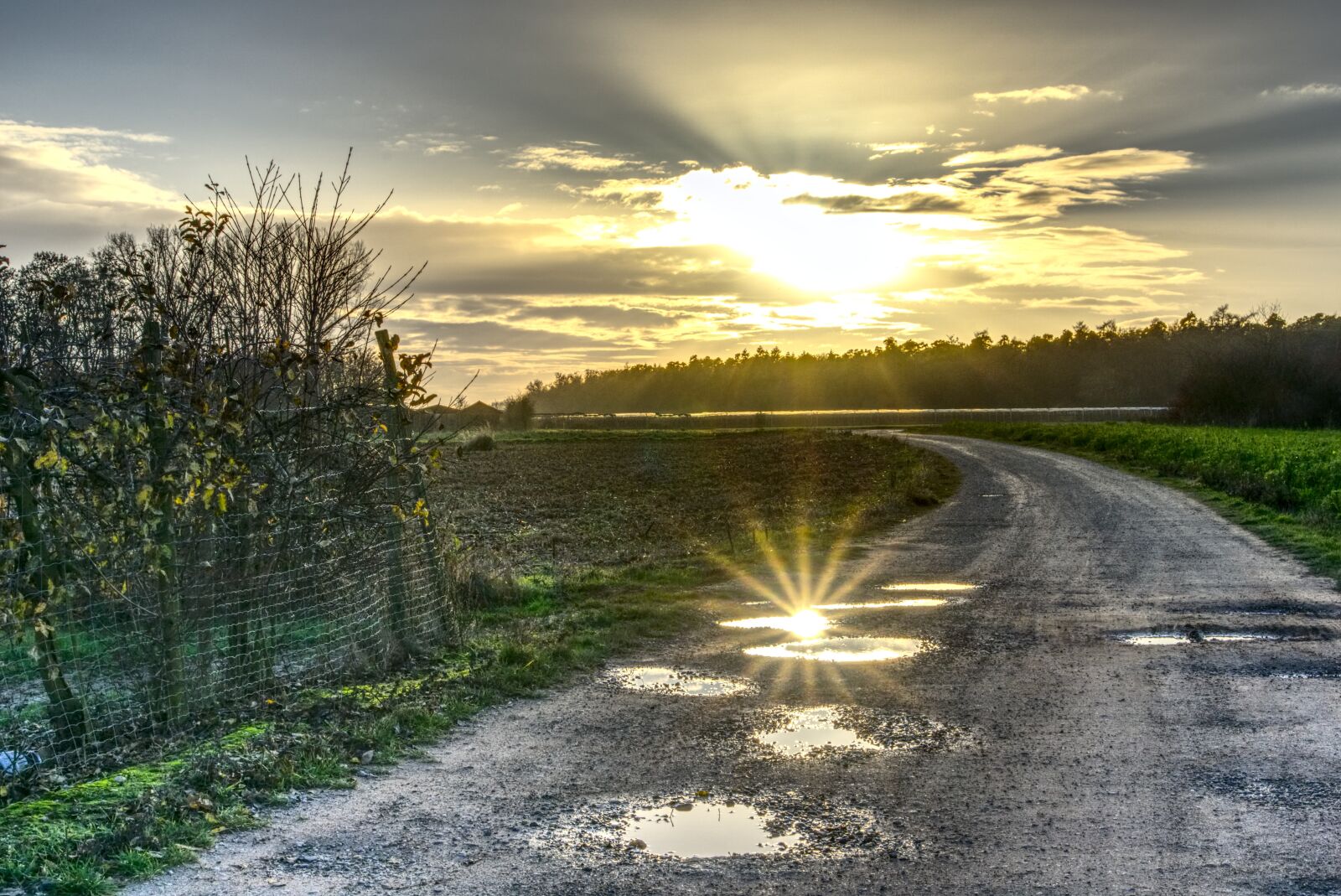 Sony a6000 sample photo. Puddle, backlighting, mirroring photography