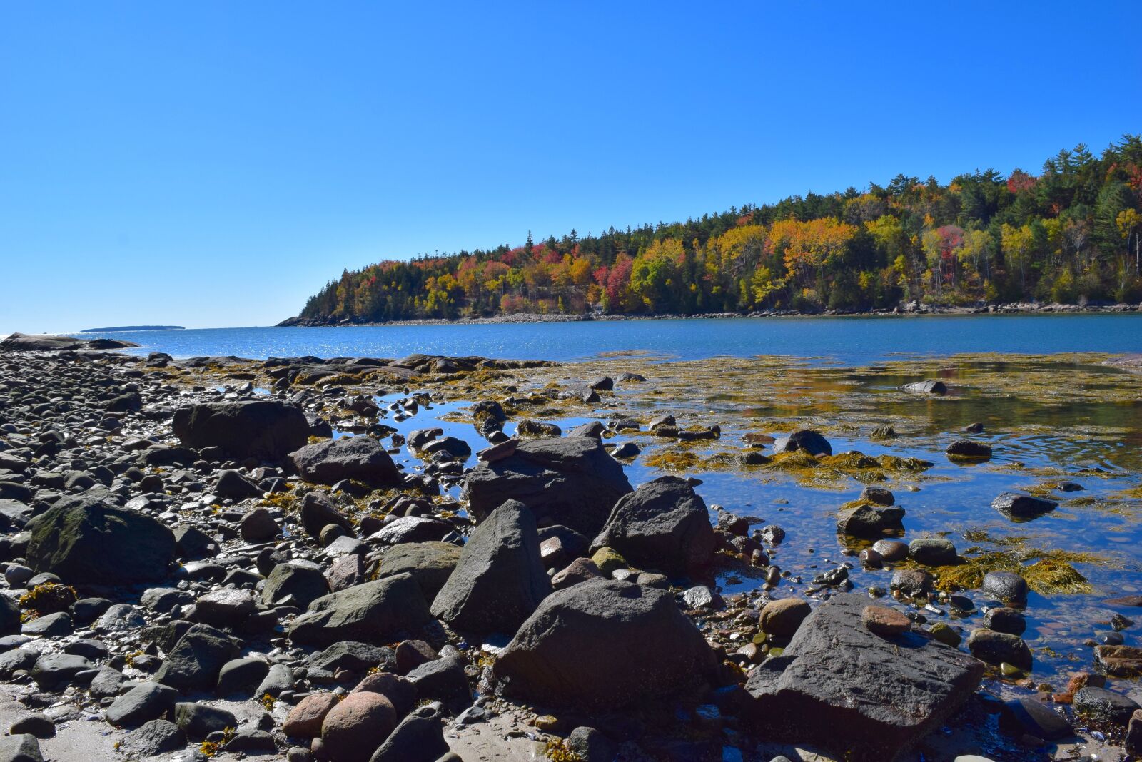 Nikon D3300 sample photo. Shore, trees, rocks photography
