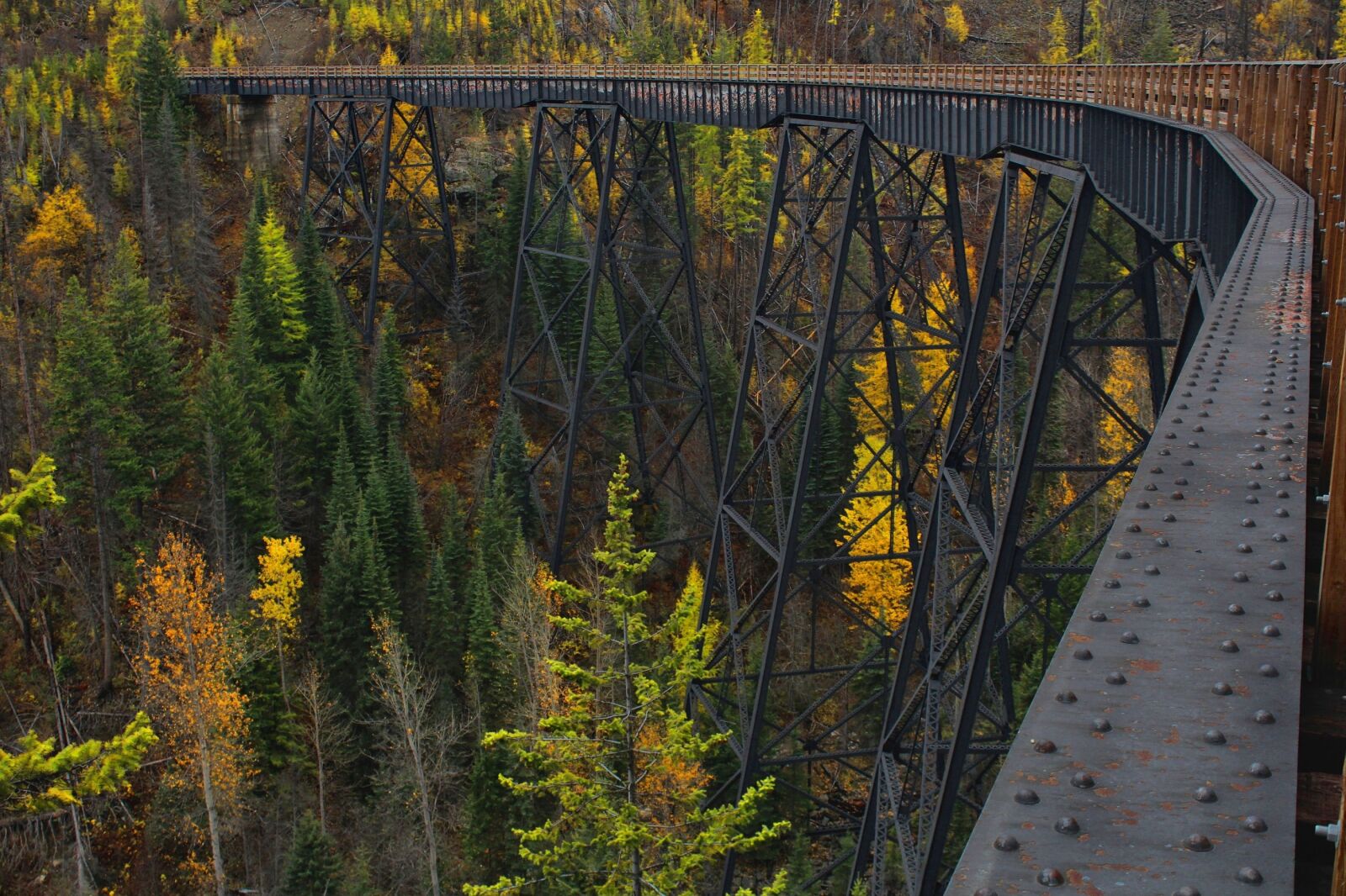 Canon EOS 1200D (EOS Rebel T5 / EOS Kiss X70 / EOS Hi) sample photo. Myra canyon, trestle, kelowna photography