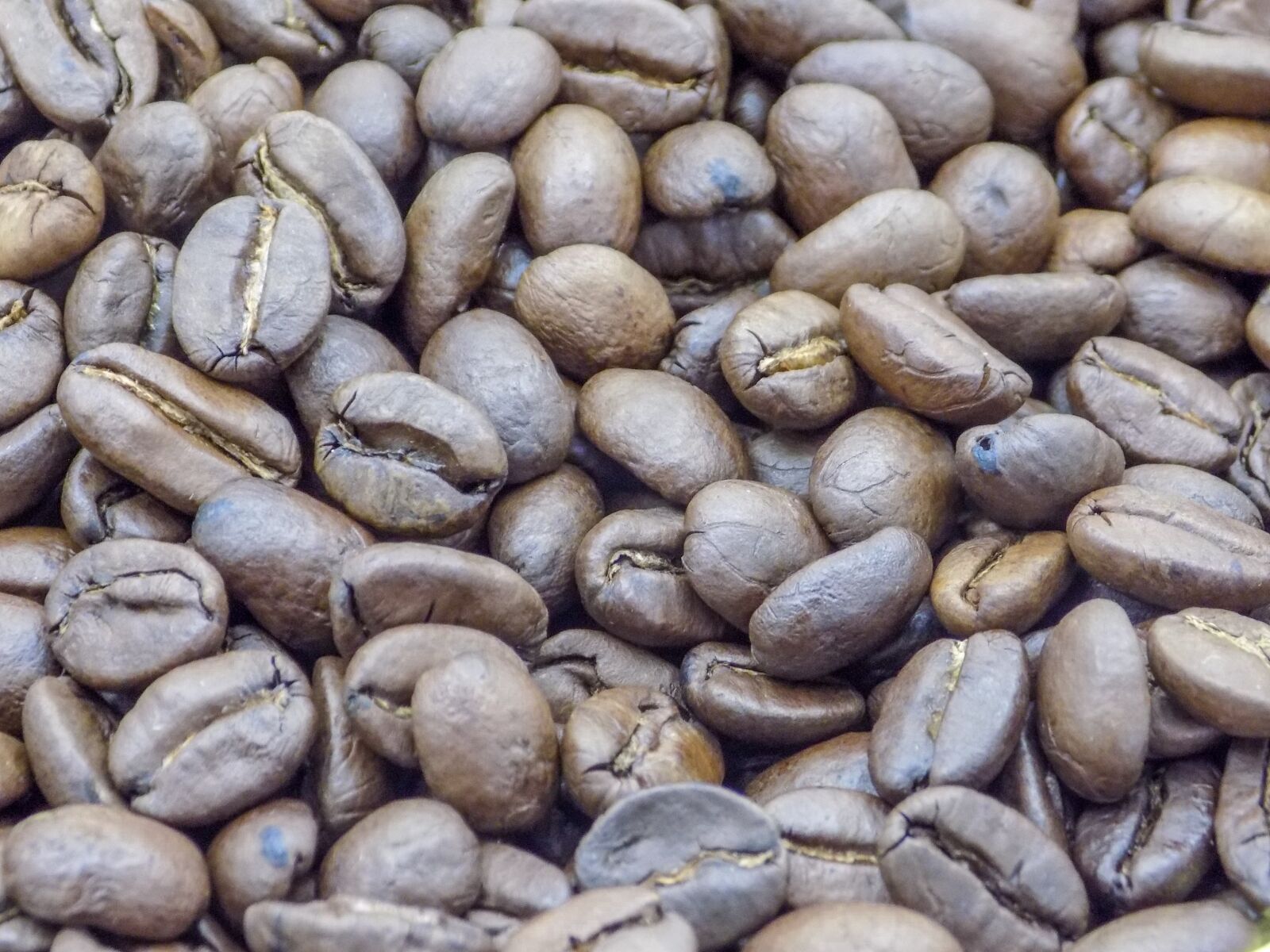 Nikon COOLPIX L330 sample photo. Coffee, grains, black photography