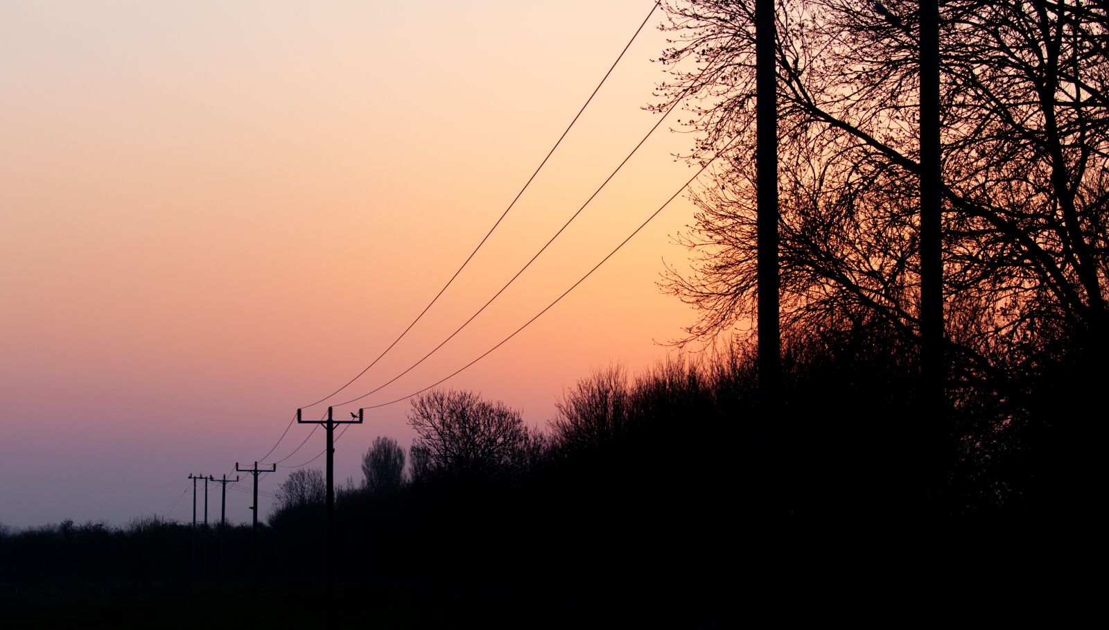 Canon EOS 5D Mark II sample photo. Sunrise, water, power lines photography