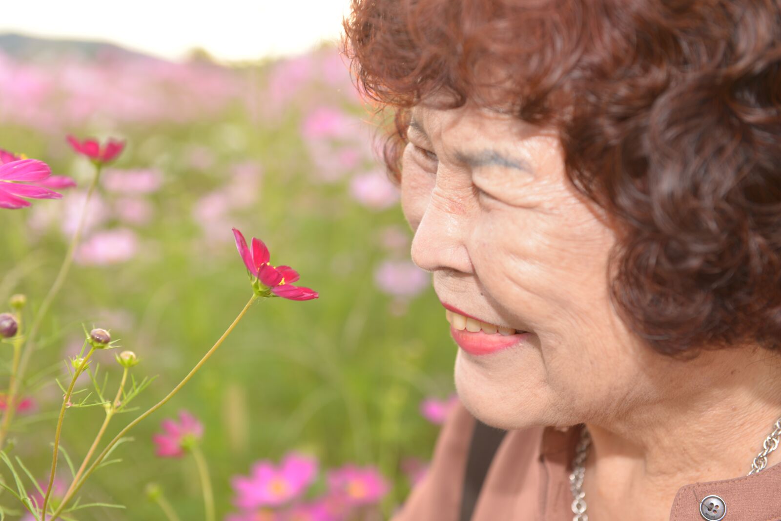 Nikon D600 sample photo. Elderly, fall flowers, cosmos photography