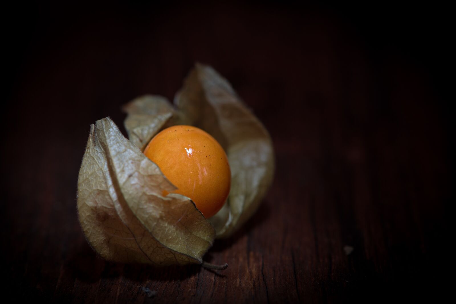 Nikon D750 sample photo. Physalis, physalis peruviana, cape photography