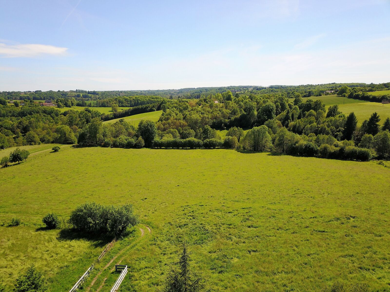 DJI FC220 sample photo. View, landscape, forest photography