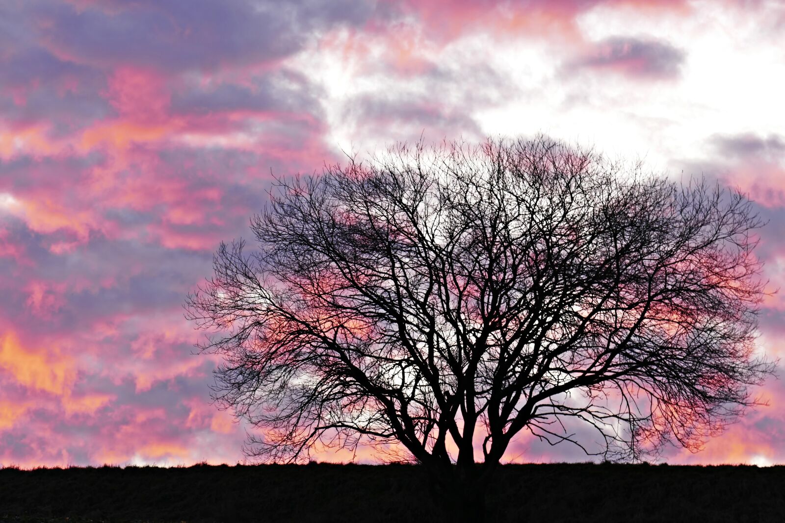 Panasonic Lumix DMC-FZ1000 sample photo. Sky, clouds, sunset photography