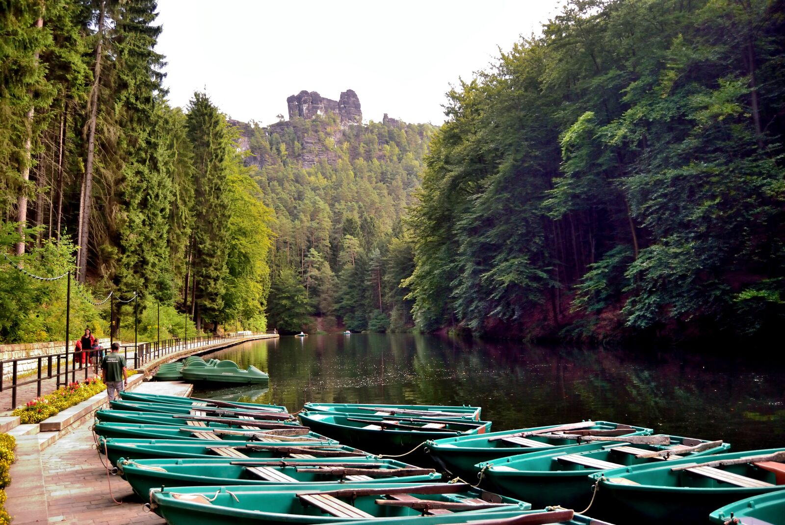 Nikon D40X sample photo. Nature, wood, waters photography
