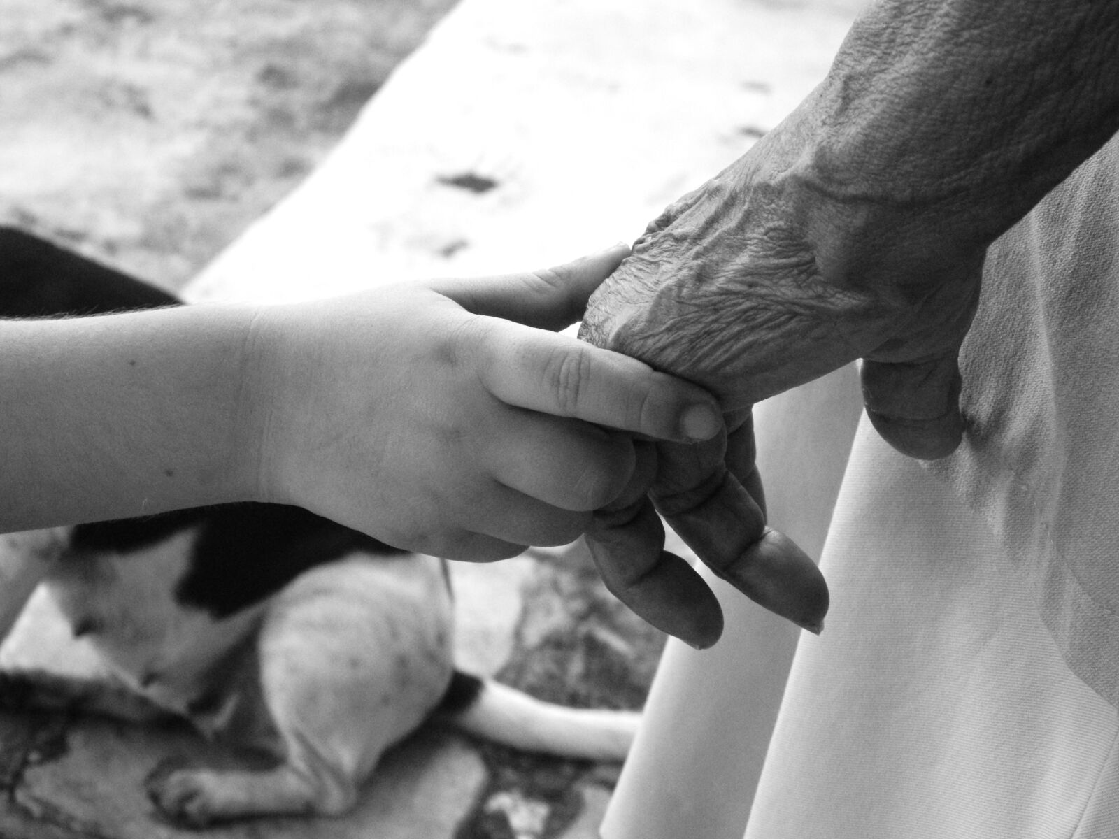 Nikon COOLPIX L310 sample photo. Young, old age, white photography