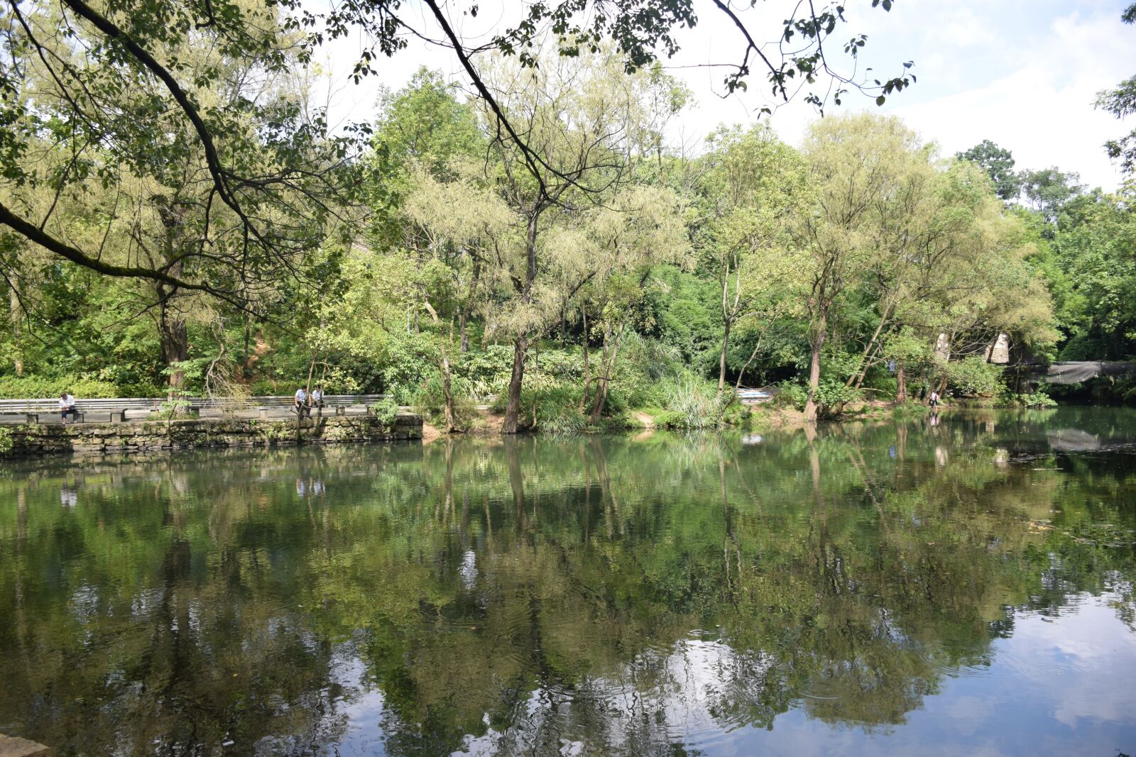 Nikon D5300 sample photo. Water, reflection, tree photography