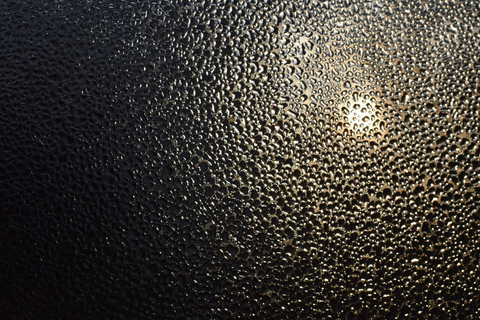 Nikon D3300 sample photo. Dew, dewdrops, sun, window photography