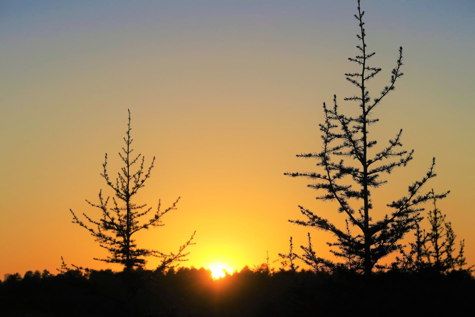 Canon PowerShot G7 X sample photo. Sunset, autumn, nature photography