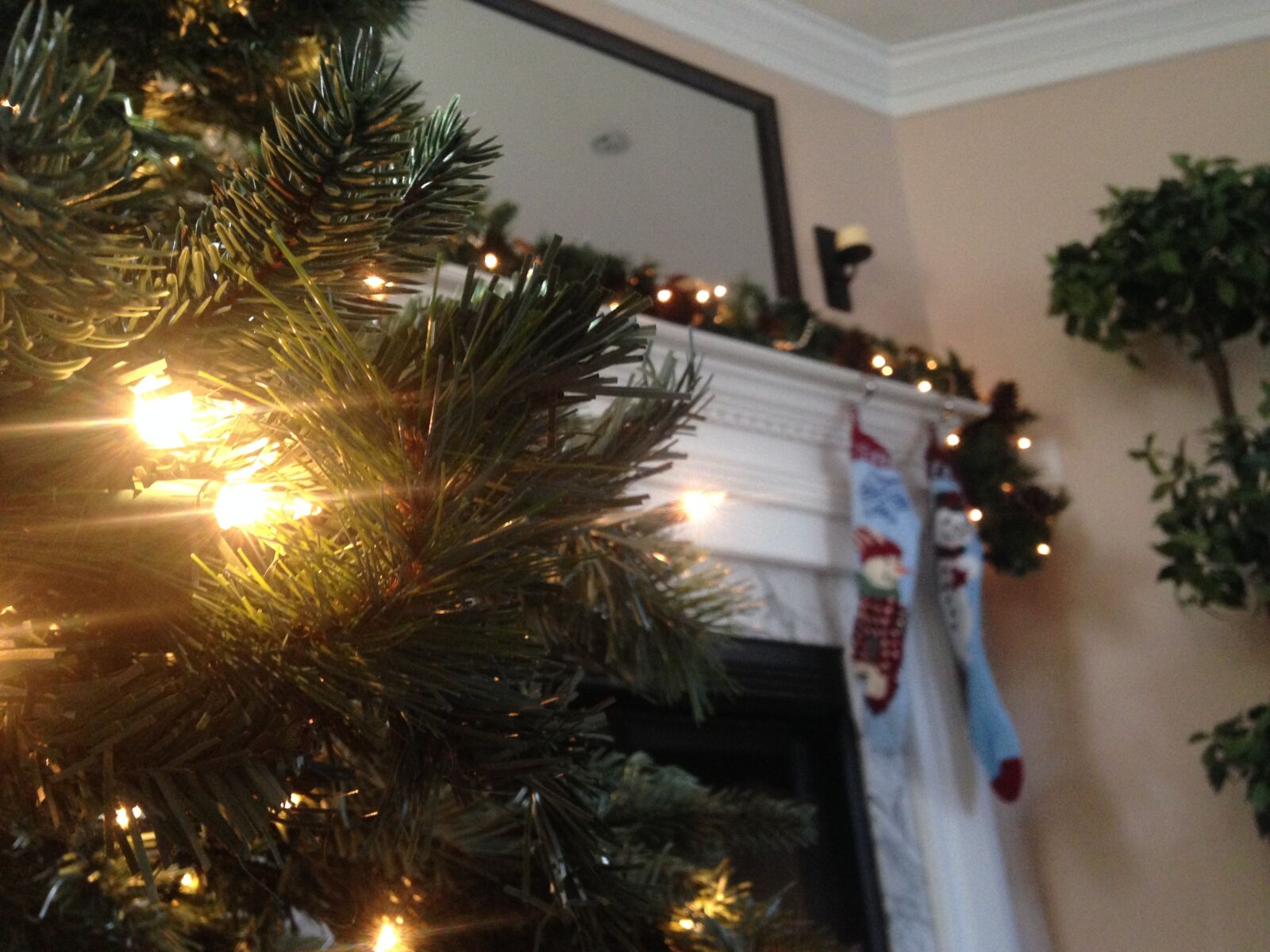 Apple iPhone 5c sample photo. Christmas, christmas, tree, festive photography
