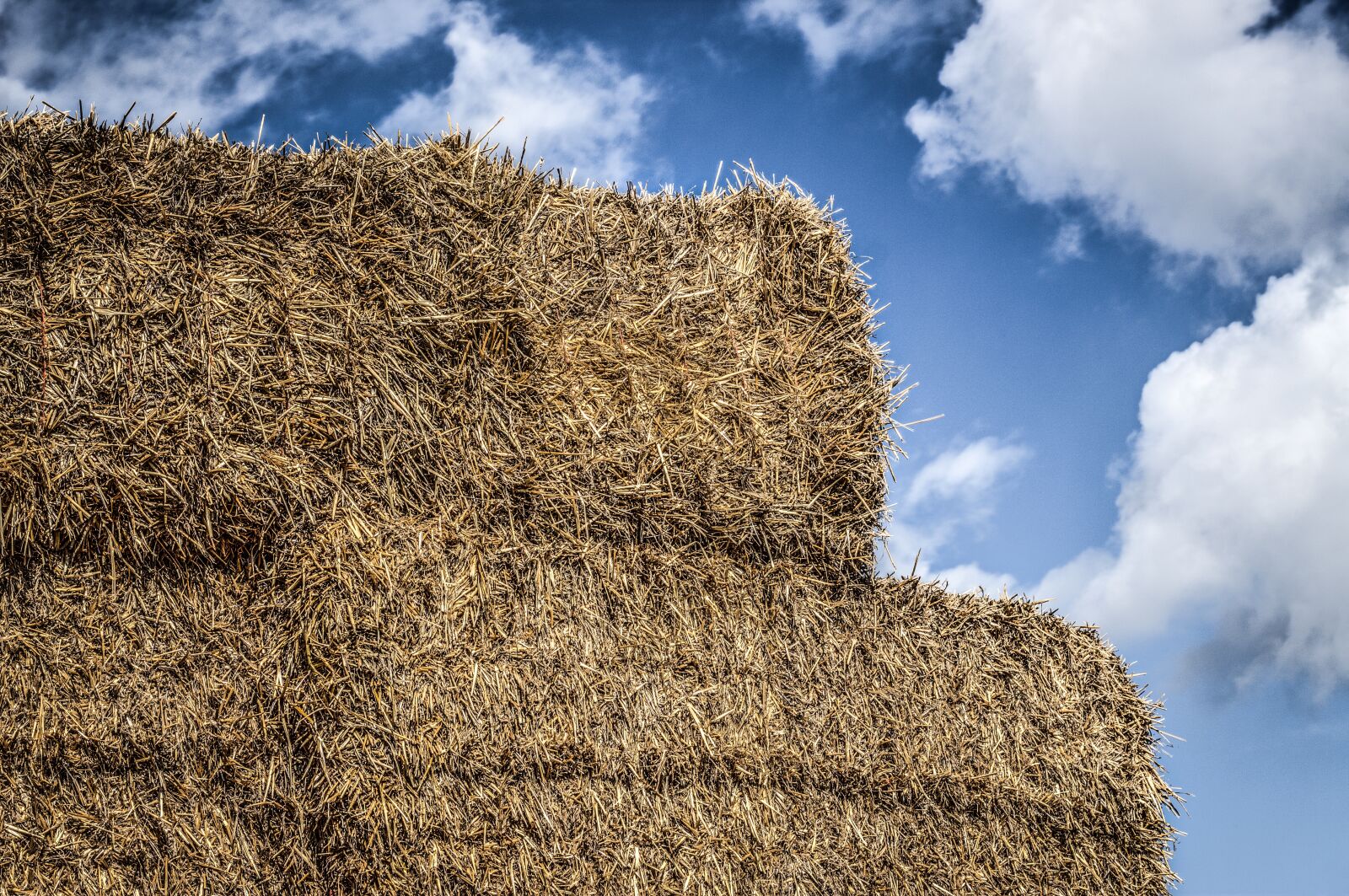 Canon EOS 700D (EOS Rebel T5i / EOS Kiss X7i) sample photo. Straw, packs of straw photography