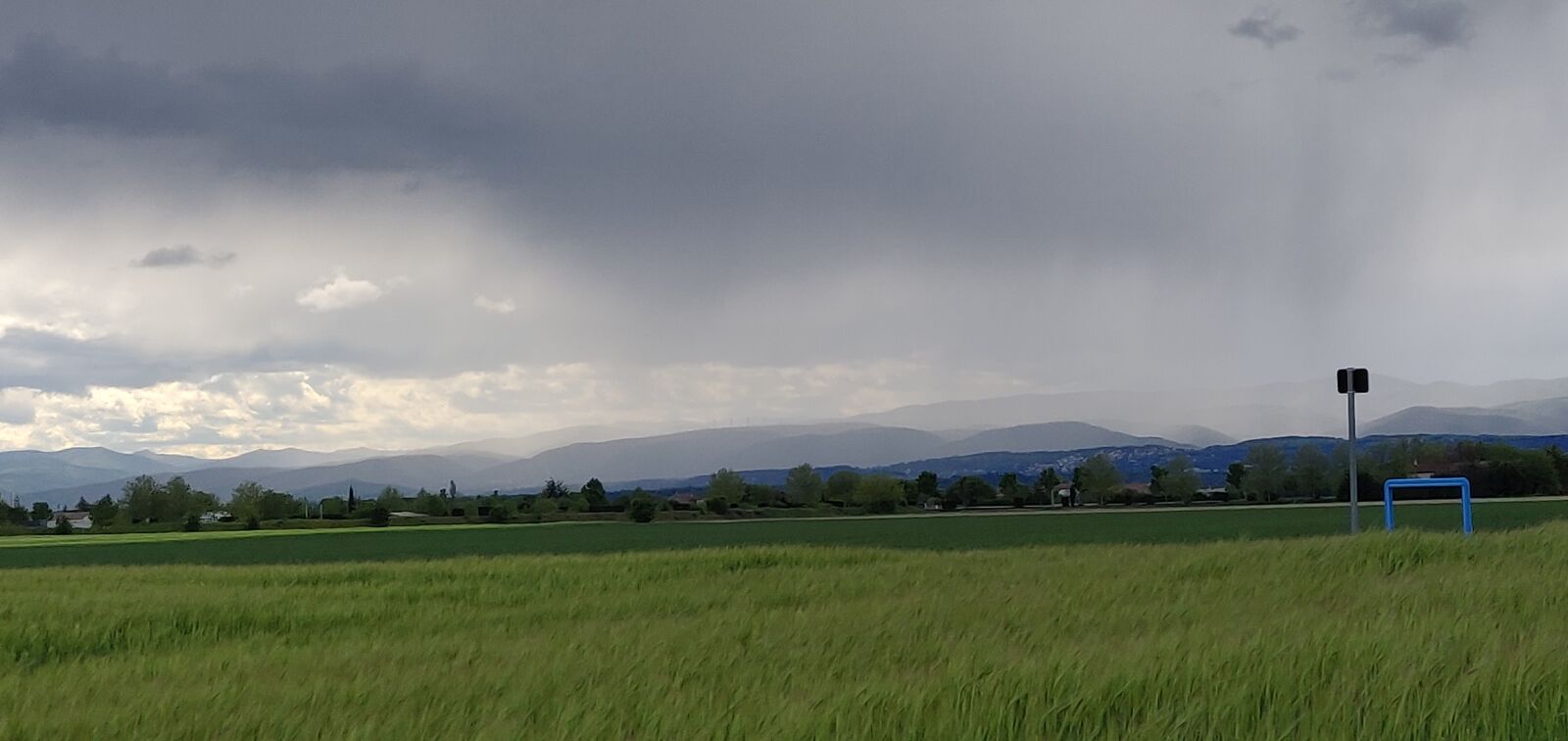 OnePlus 6 sample photo. Rain, field, green photography