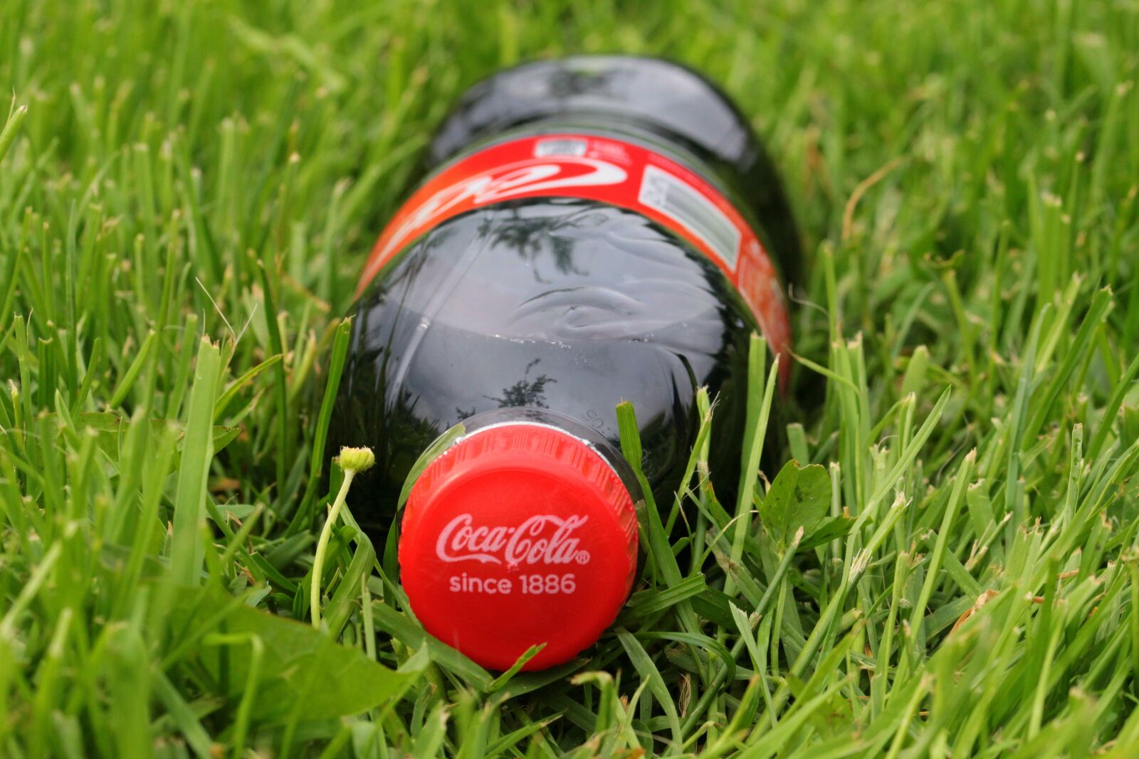 Canon EOS 650D (EOS Rebel T4i / EOS Kiss X6i) sample photo. Coca cola, bottle, lock photography