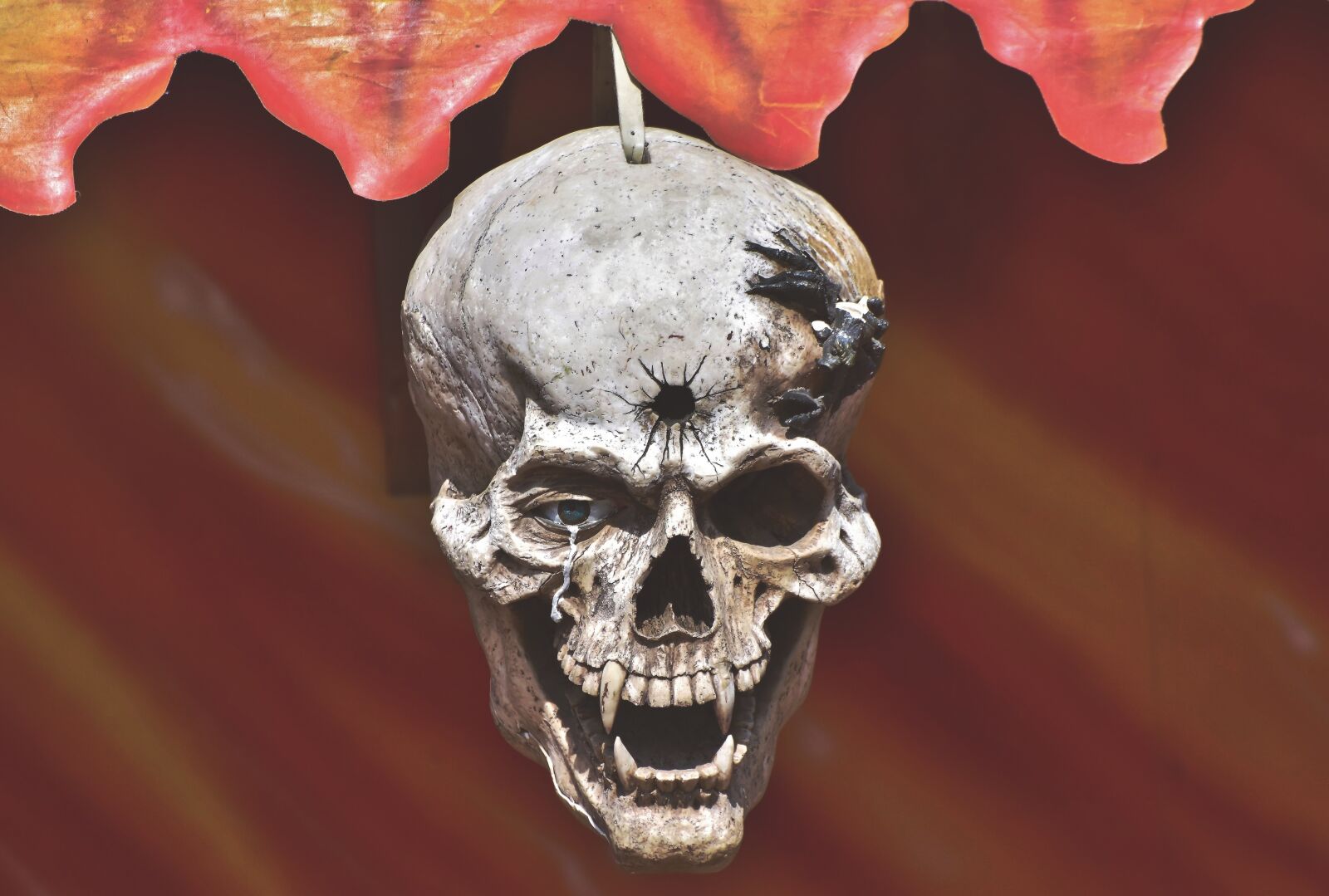 Nikon D7200 sample photo. Skull, skull and crossbones photography