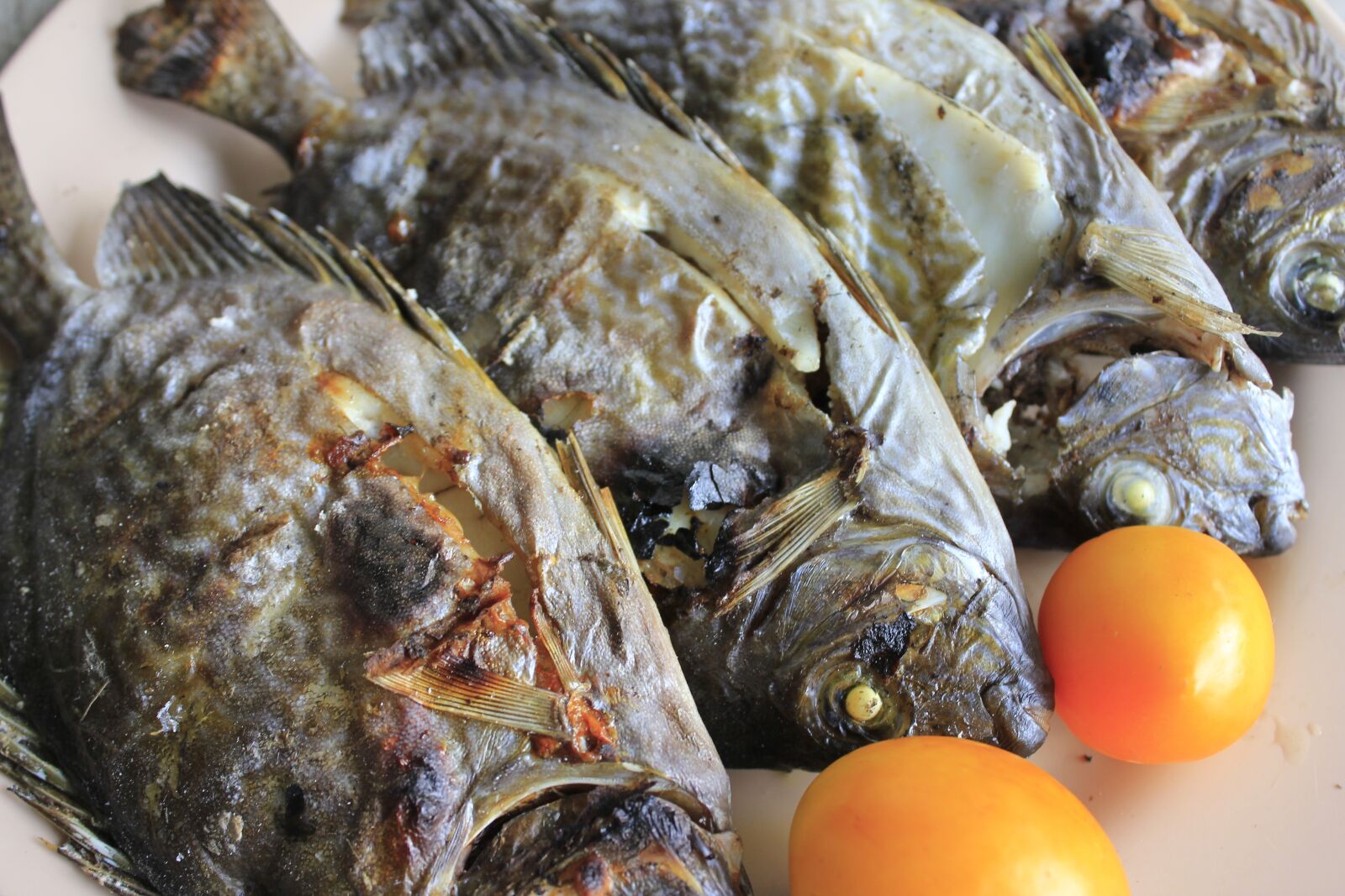 Canon EOS 550D (EOS Rebel T2i / EOS Kiss X4) sample photo. Fish, fried fish, grilled photography