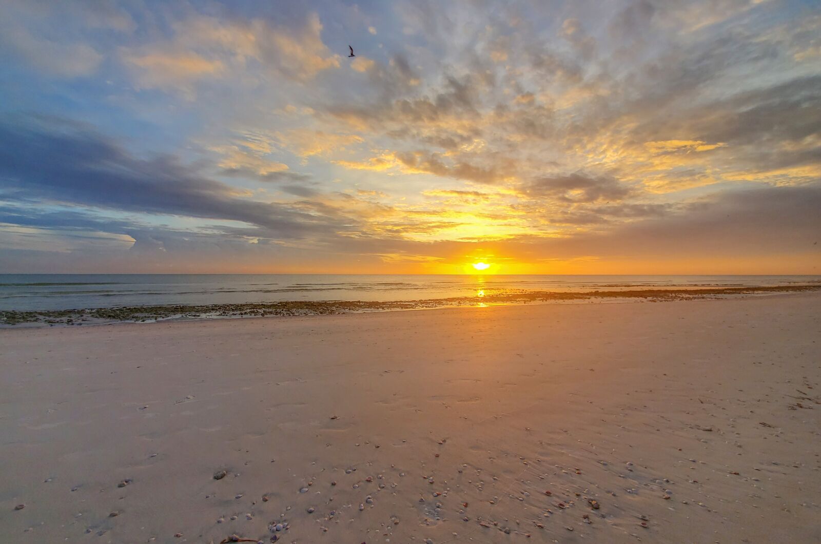 Samsung Galaxy S10 sample photo. Seascape, beach, sunset photography