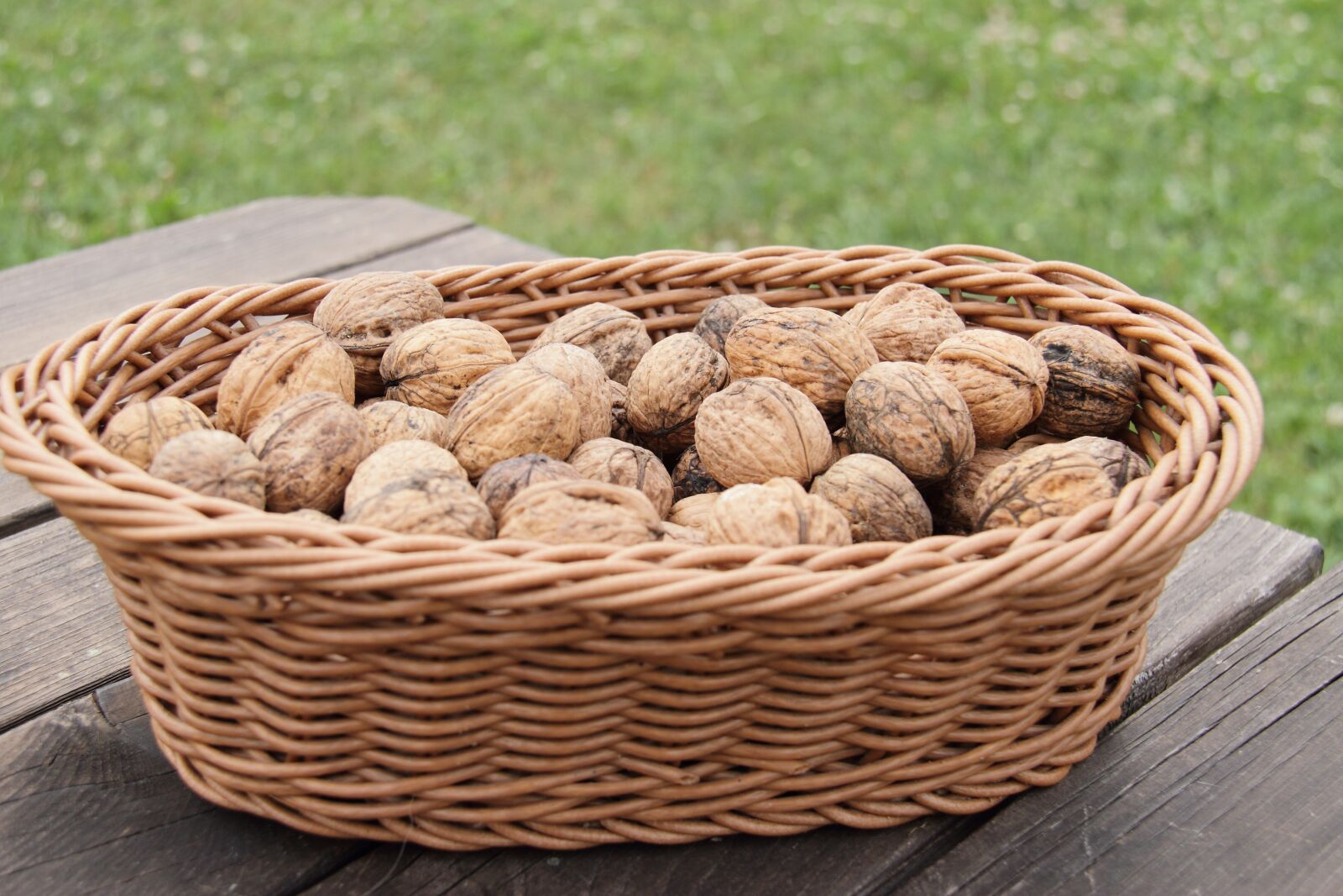 Canon EOS 7D sample photo. Walnut, food, nut photography