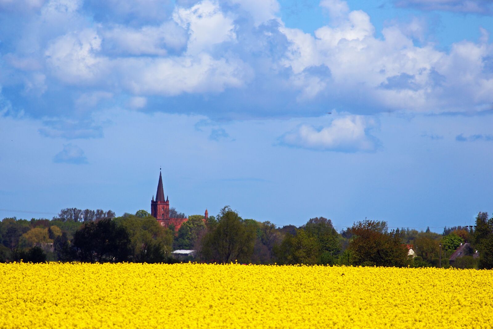Canon EF-S 55-250mm F4-5.6 IS STM sample photo. Gristow, church, field of photography