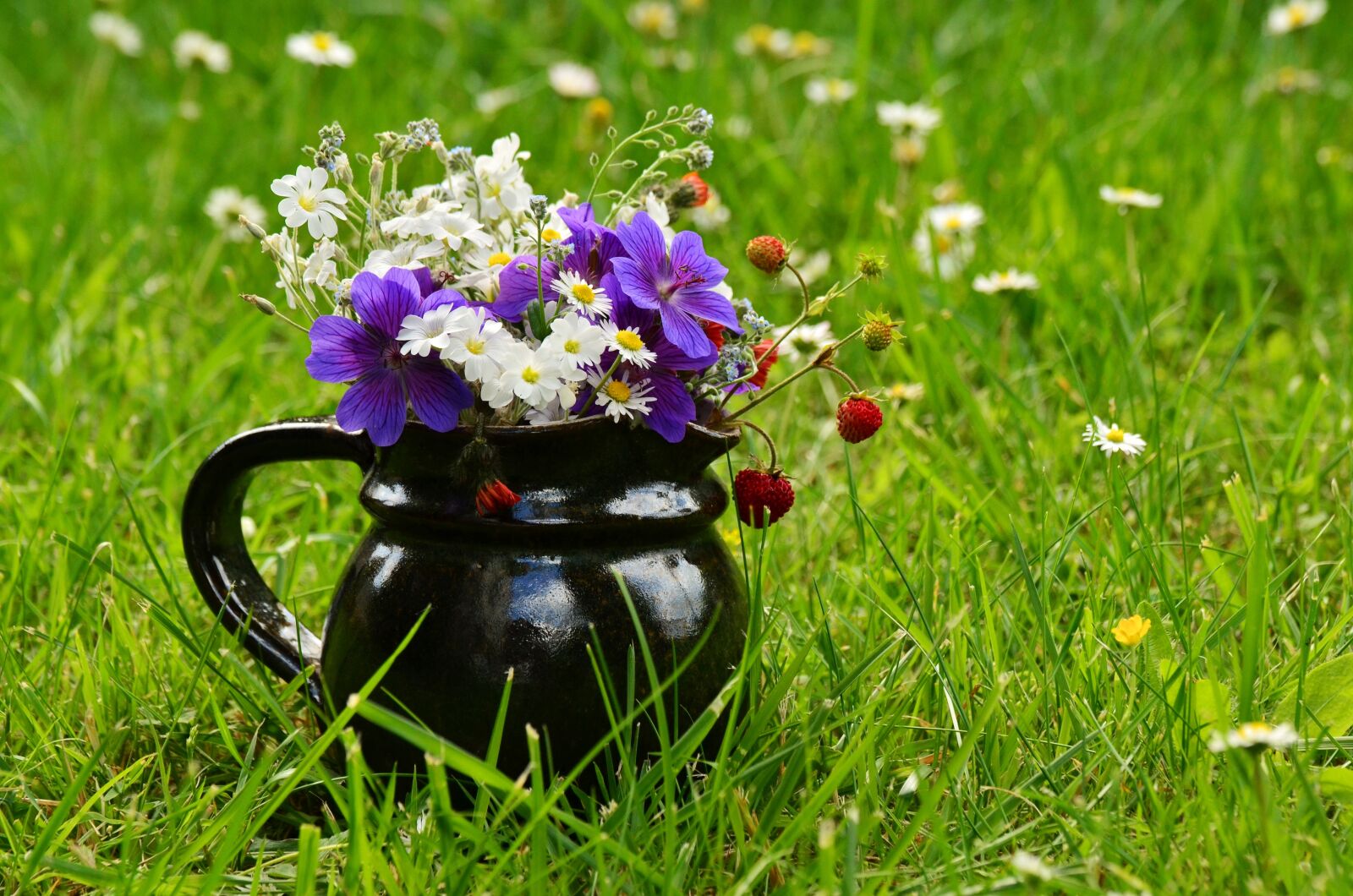 Nikon D5100 sample photo. Flower meadow, bouquet, wildflowers photography