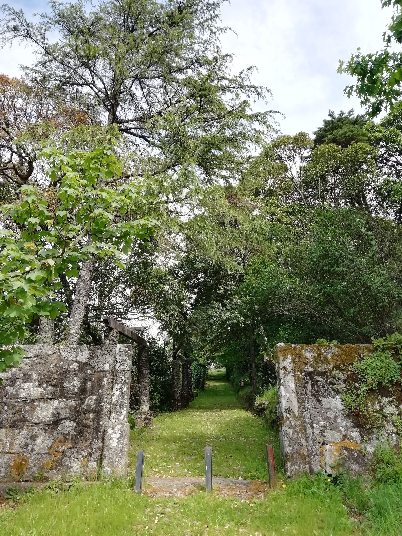 HUAWEI FIG-LX1 sample photo. Garden, gate, entrance photography