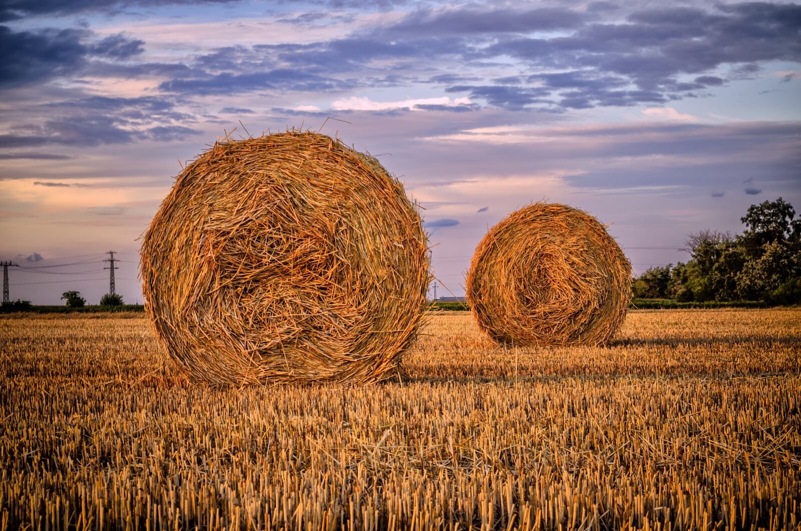 Nikon D5100 sample photo. Straw bale, field, nature photography
