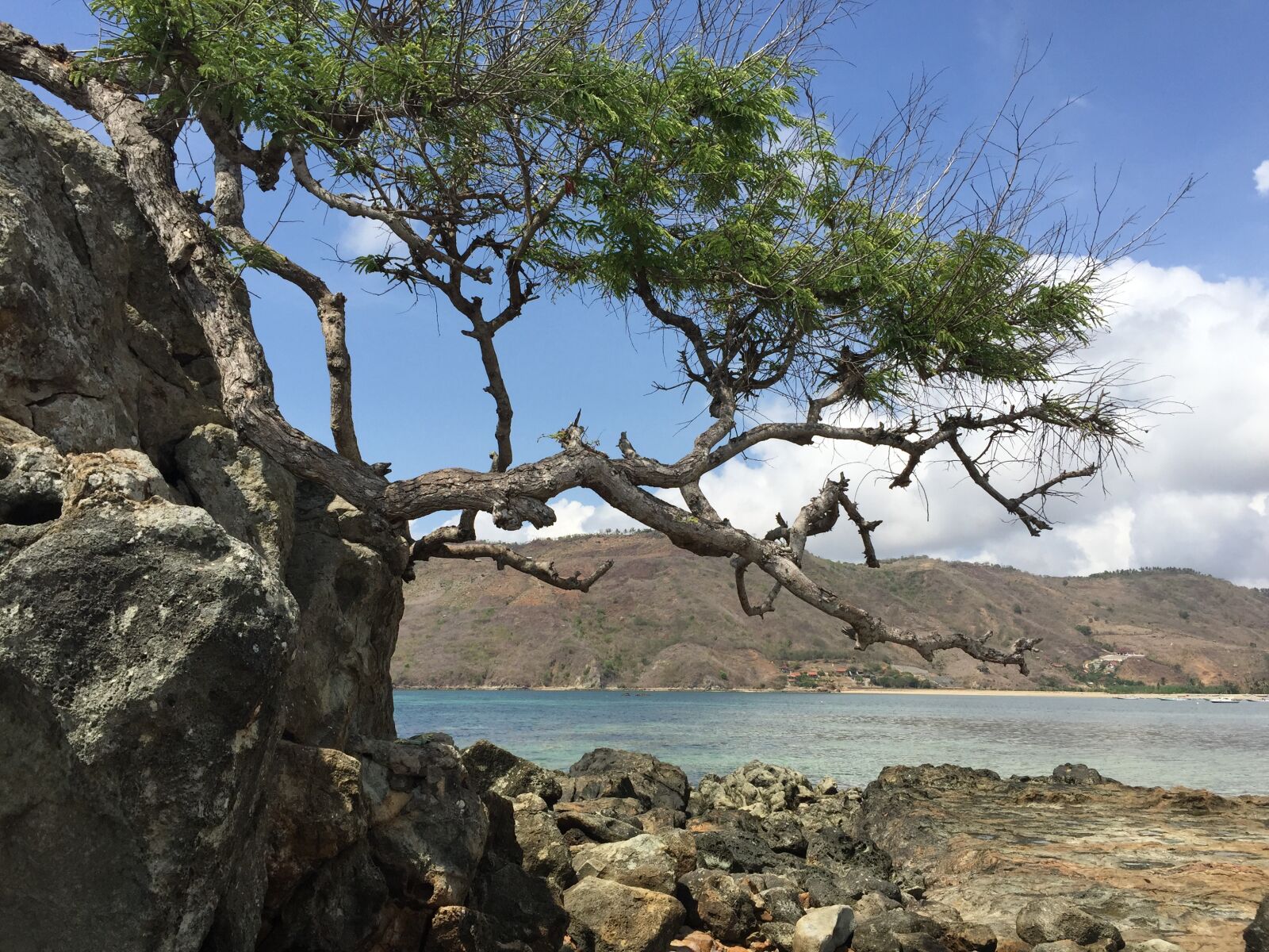 Apple iPhone 6 sample photo. Lombok, beach, indonesia photography
