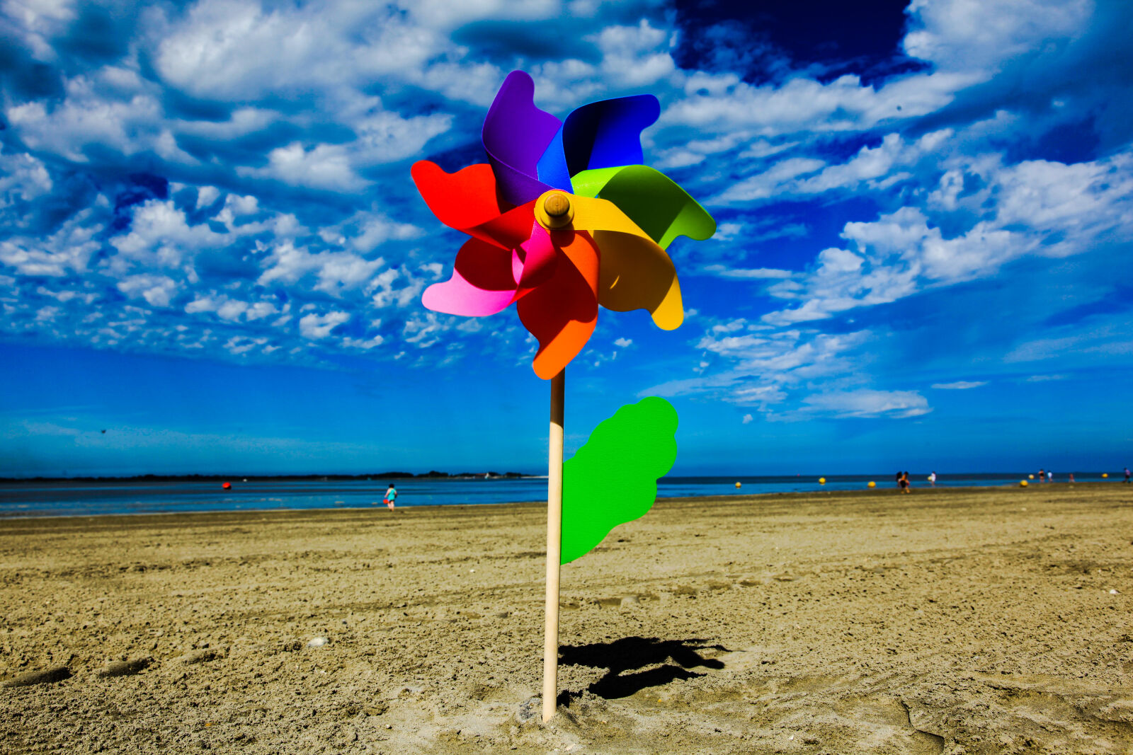 Canon EF 24-105mm F4L IS USM sample photo. Beach, flower, sand, wind photography