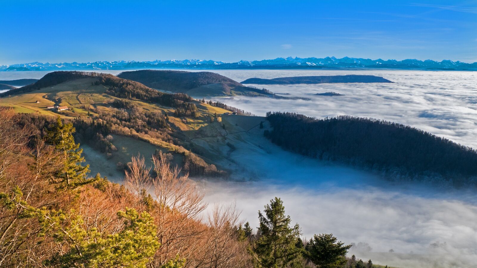 Panasonic Lumix DC-G9 sample photo. Sea of fog, fog photography