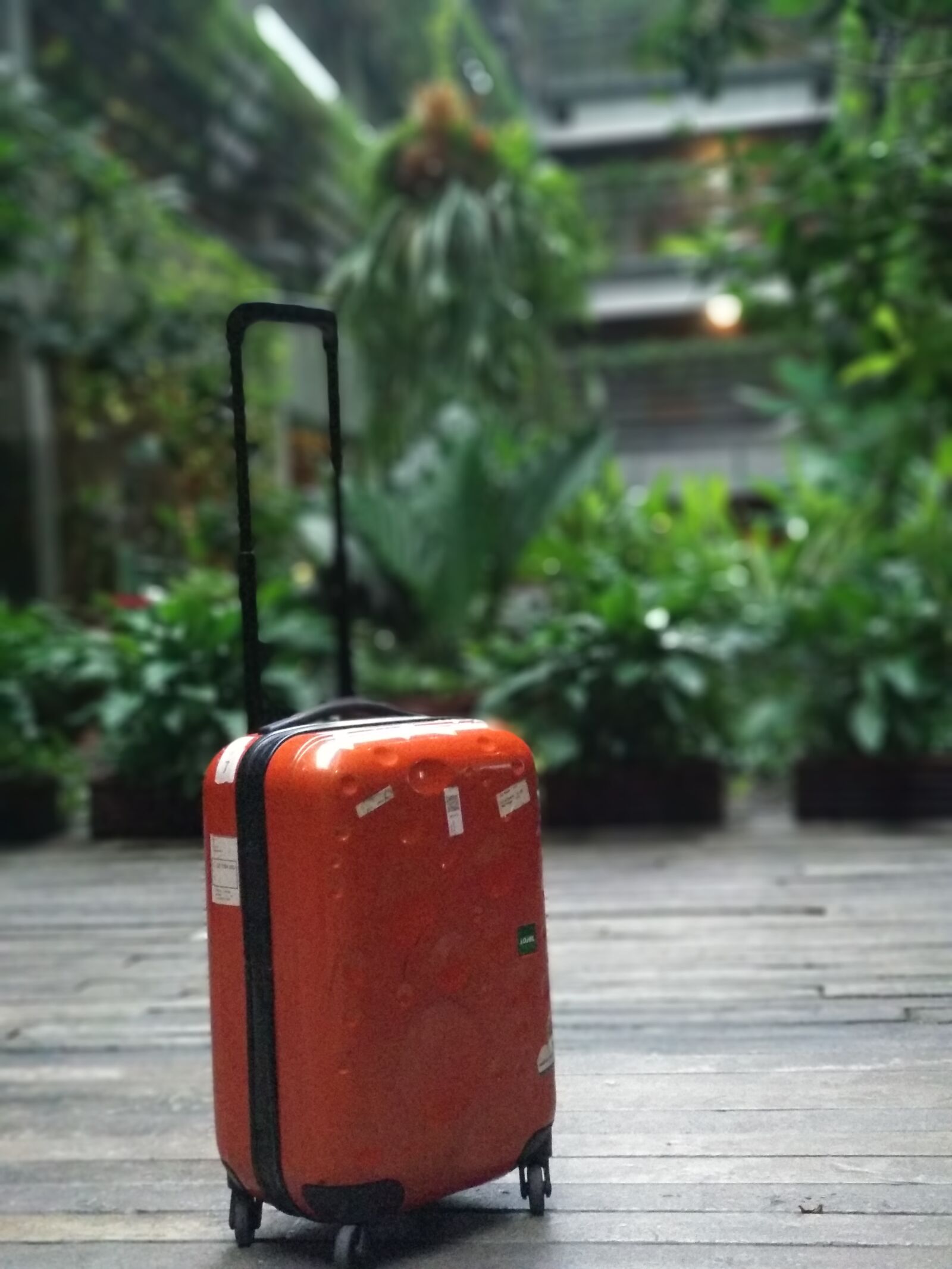 Xiaomi Mi A1 sample photo. Travel, bag, trolley photography