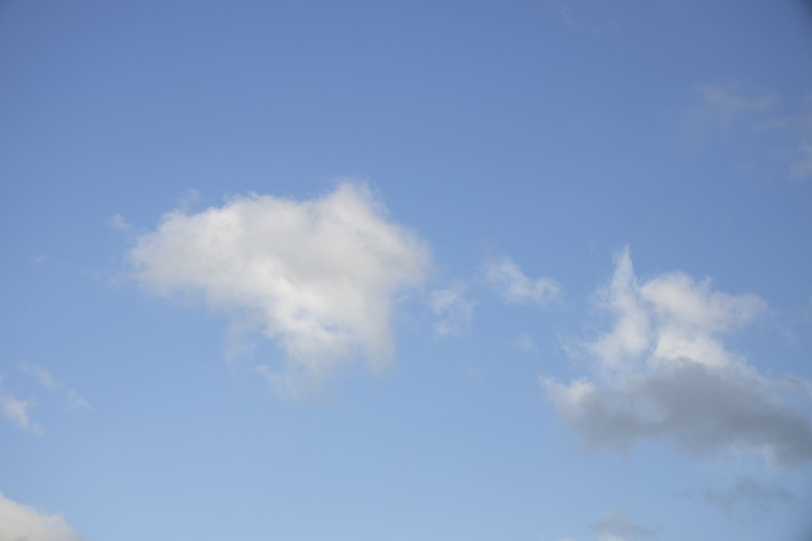 Canon RF 24-105mm F4L IS USM sample photo. Sky, cloud, blue photography