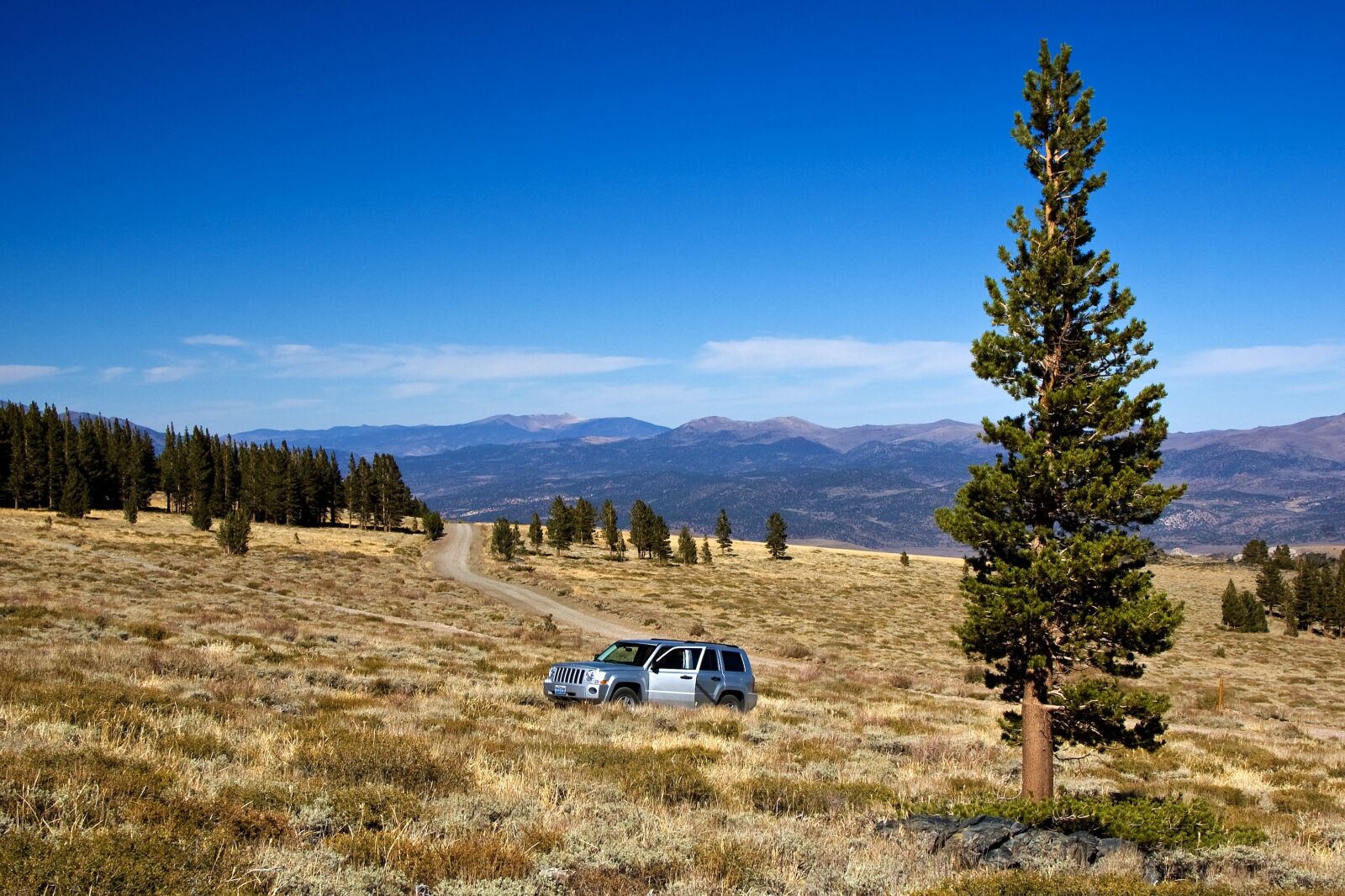 Nikon D50 sample photo. Usa, california, mountains photography