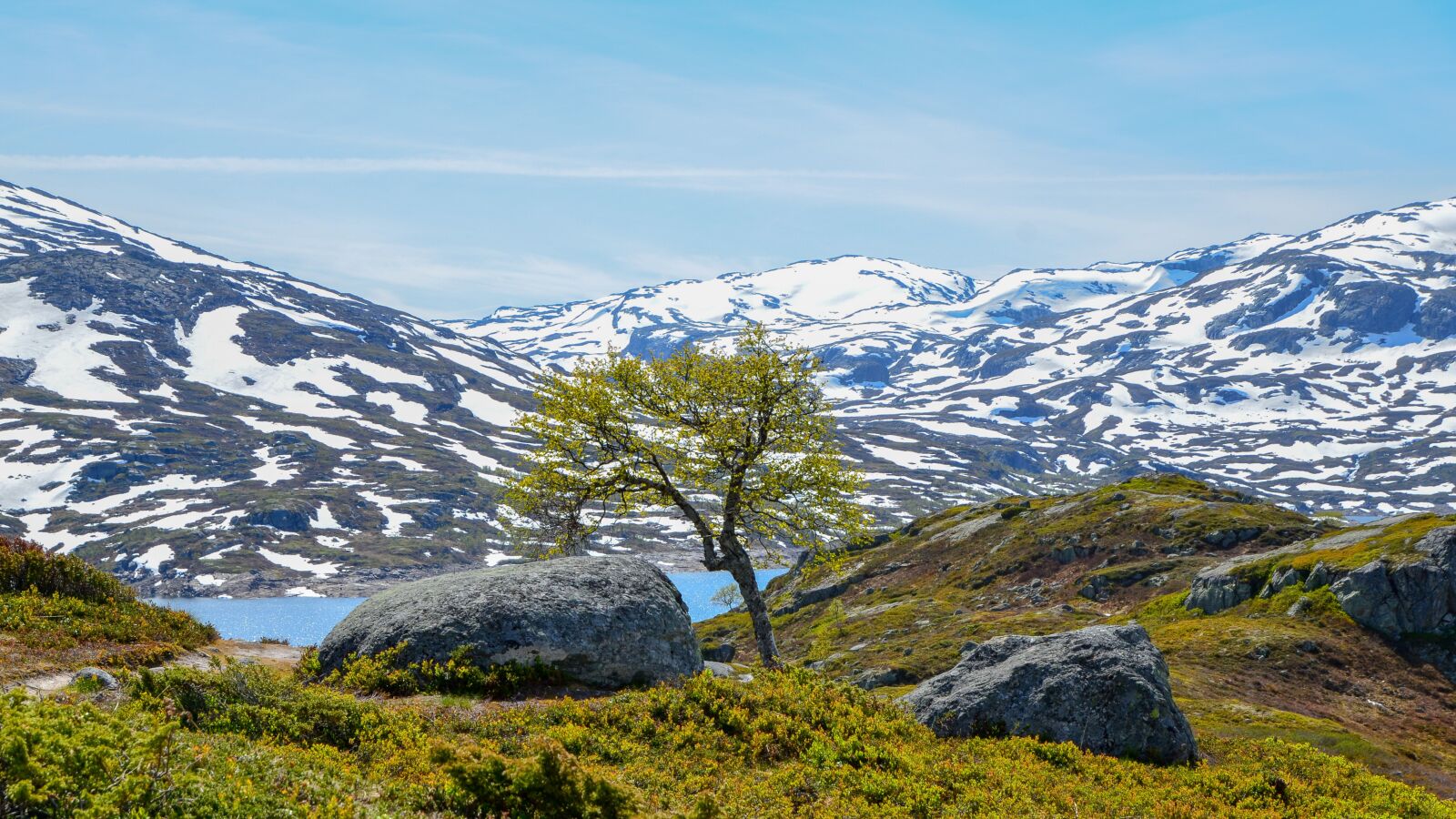 Nikon D7000 sample photo. Landscape, norway, fjord photography