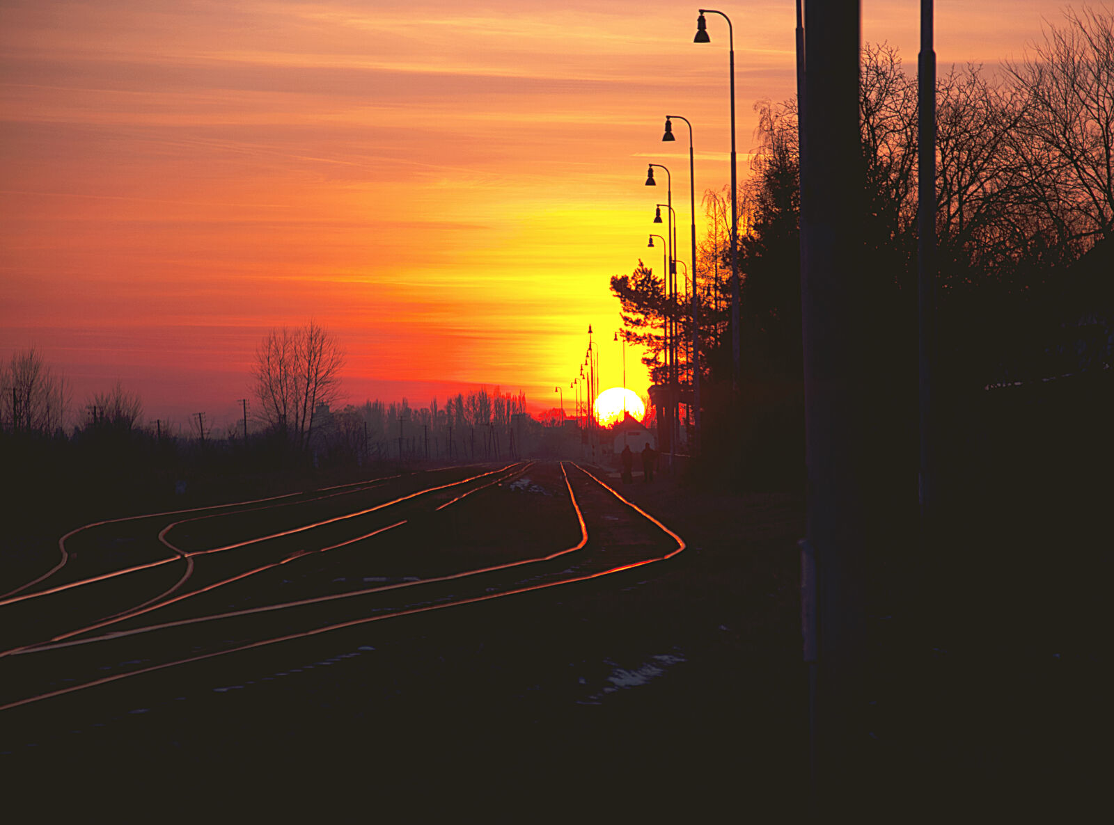 Nikon D90 sample photo. Beautiful, big, colorful, magic photography